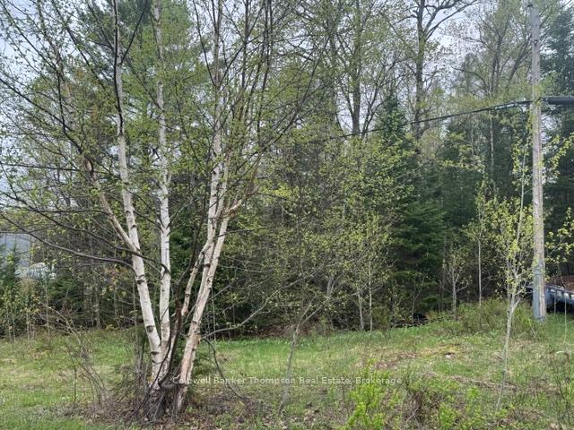 00 W Highway 518 West Highway, Mcmurrich/Monteith, On P0a 1y0