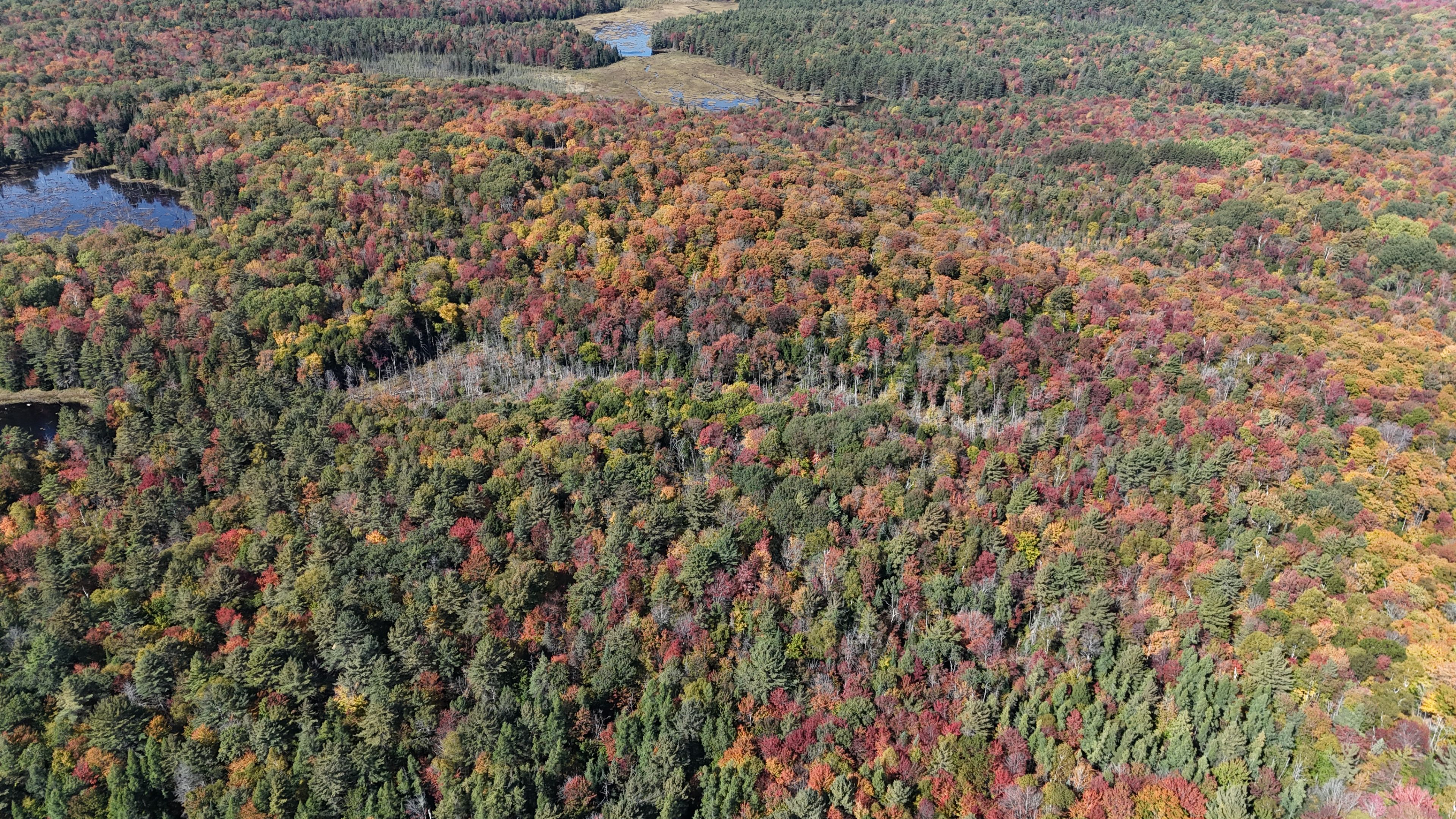Pl20 Langford Road, Lake Of Bays, On P0b 1a0