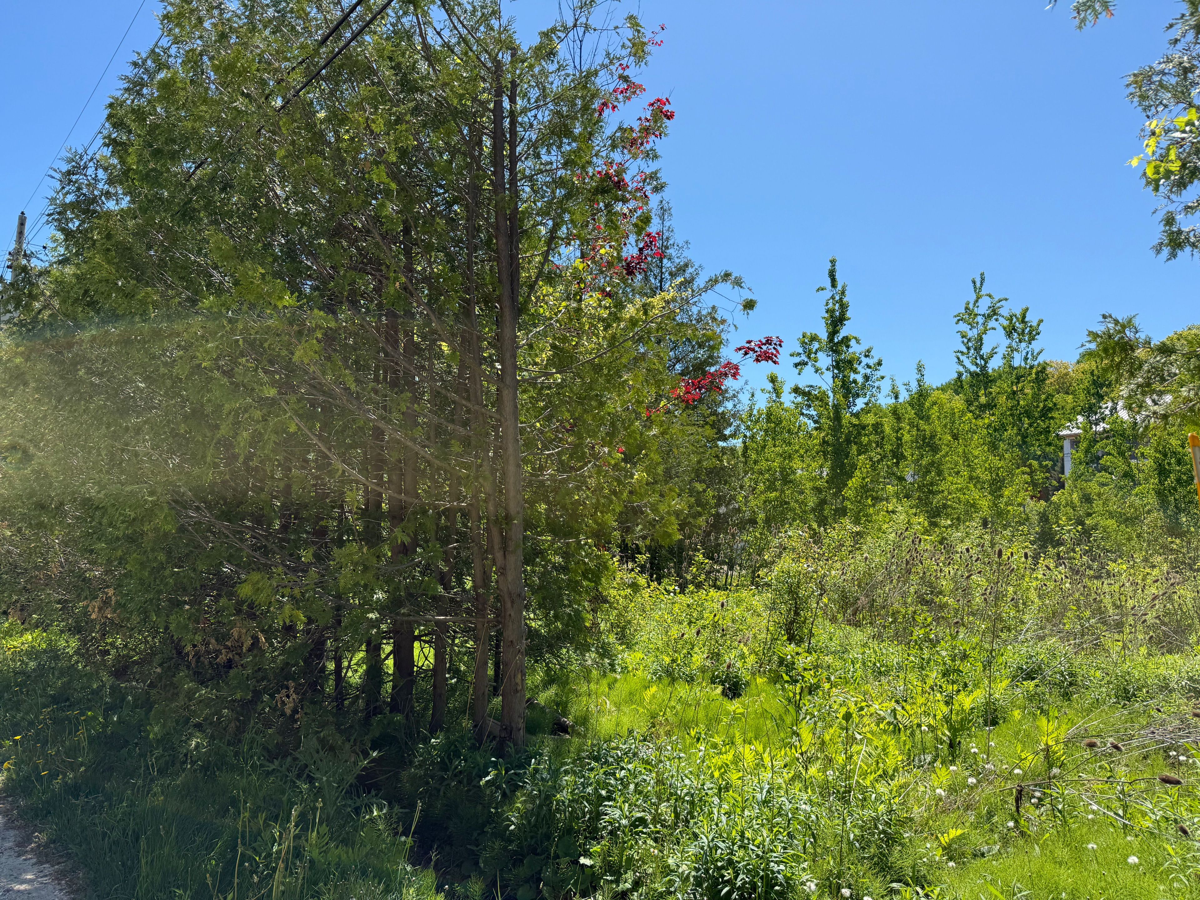 122 James Street, Blue Mountains, On L9y 0t6