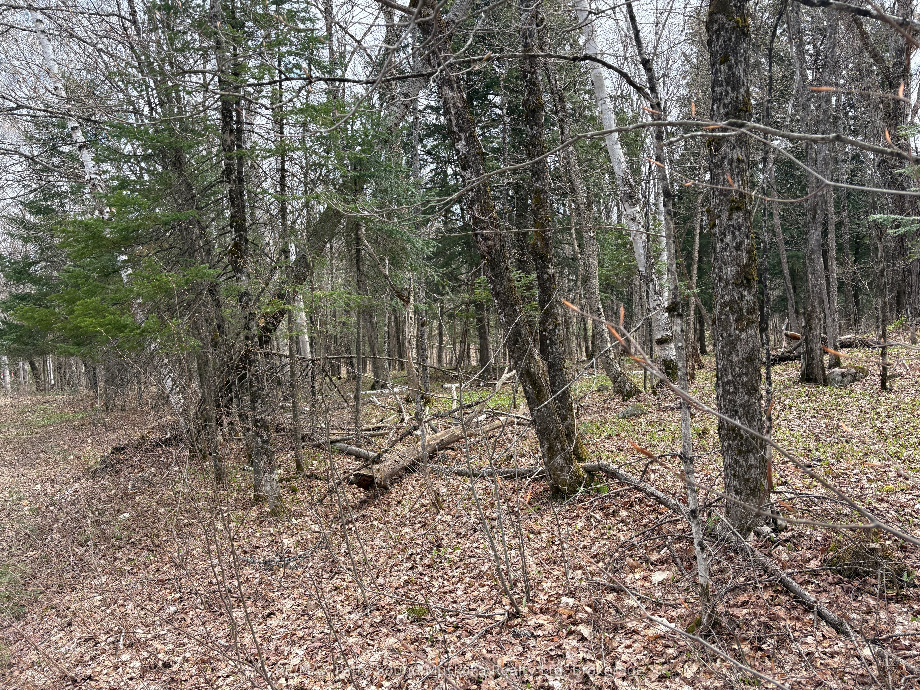 0 Ahmic Lake Road, Magnetawan, On P0a 1p0