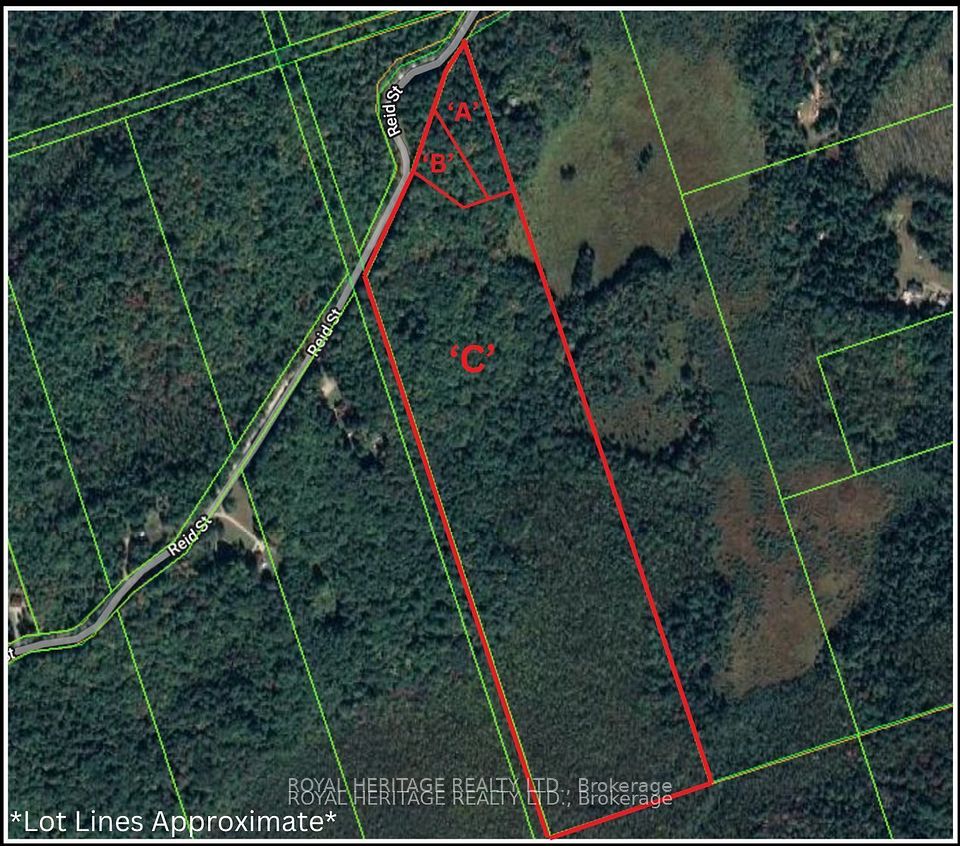 0a Reid Street, Trent Lakes, On K0m 2a0