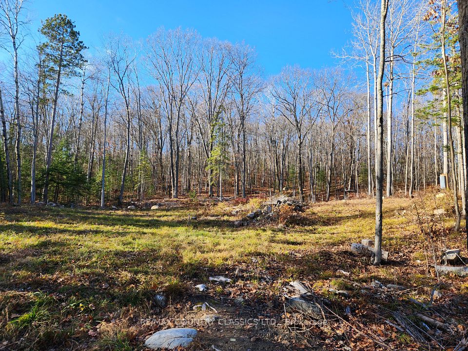 790 Mitchell Road, Madawaska Valley, On K0j 1b0