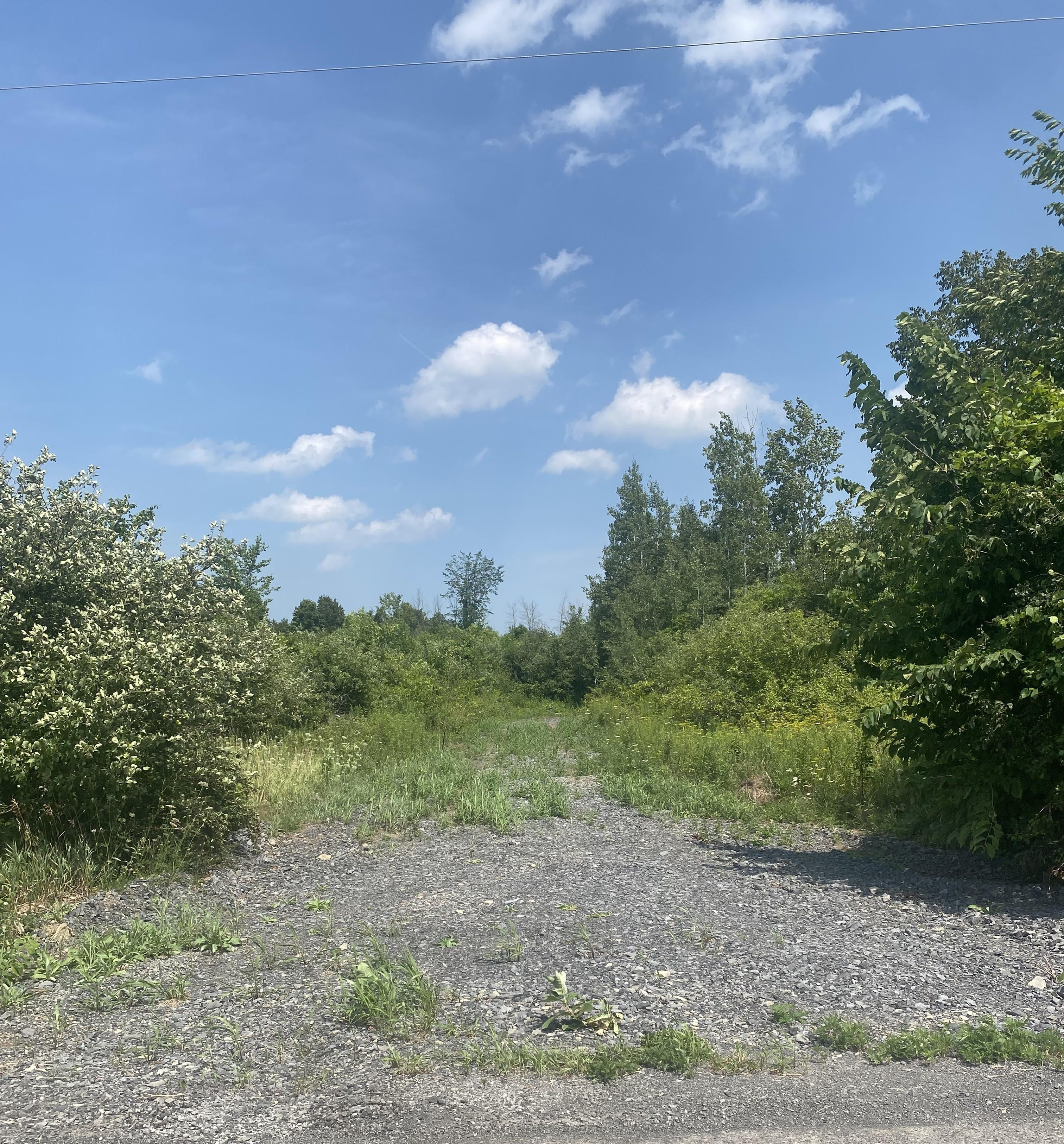 Lt 7 Merkley Road, North Dundas, On K0c 2k0