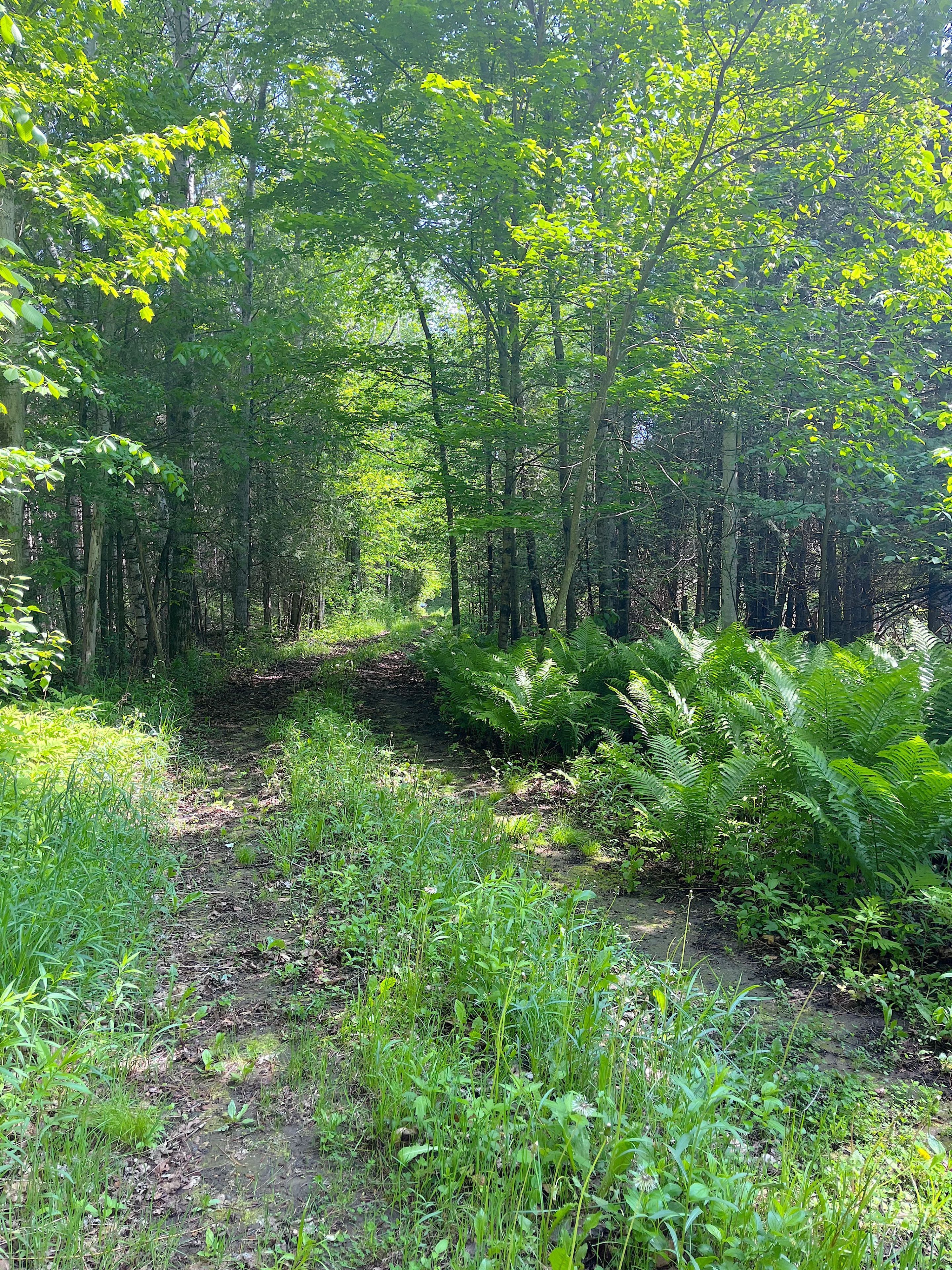 00 Johnston Road, Horton, On K7v 3z8