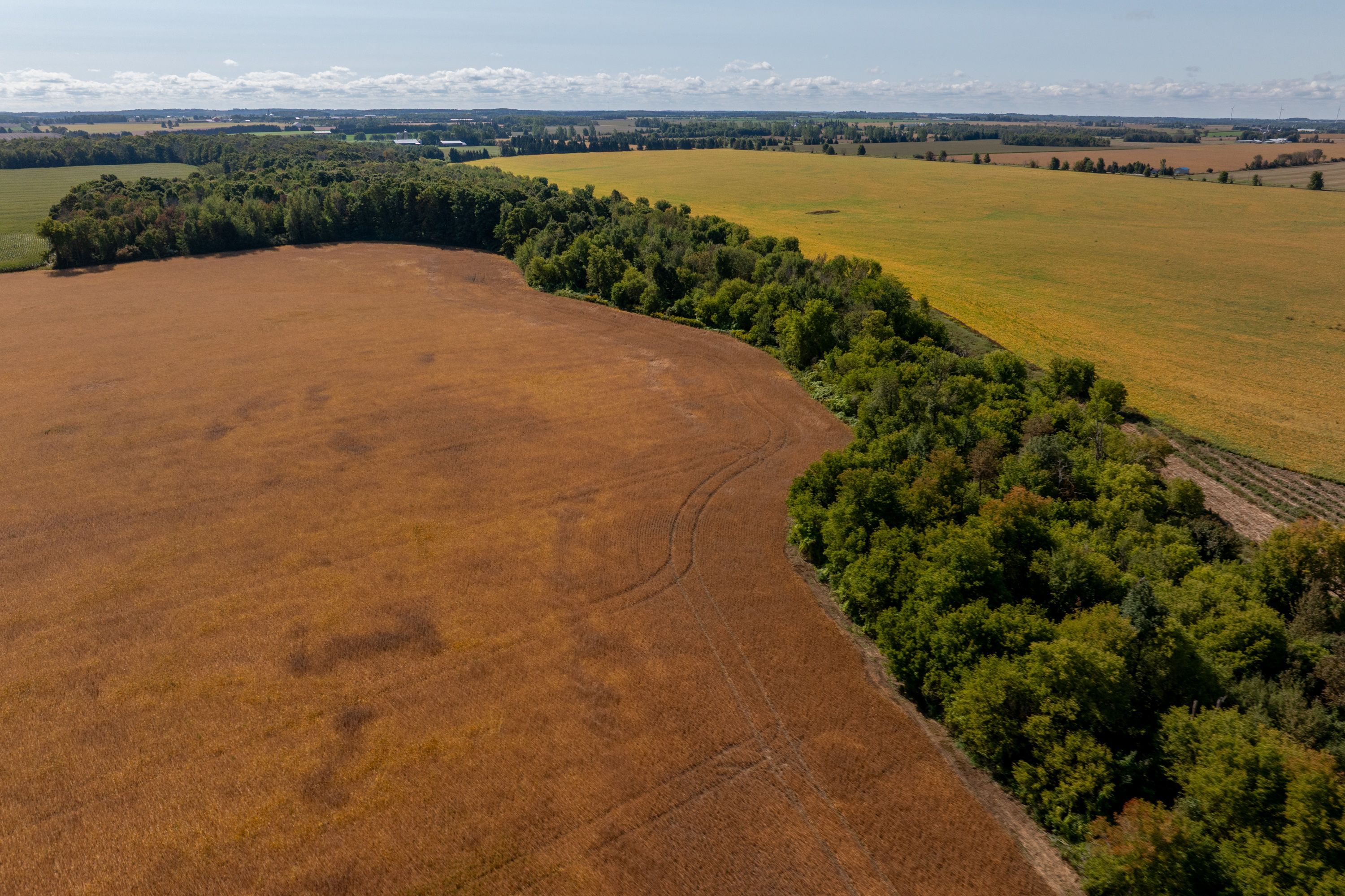 201340 Dufferin Road 109 Road, East Garafraxa, On L9w 7a9