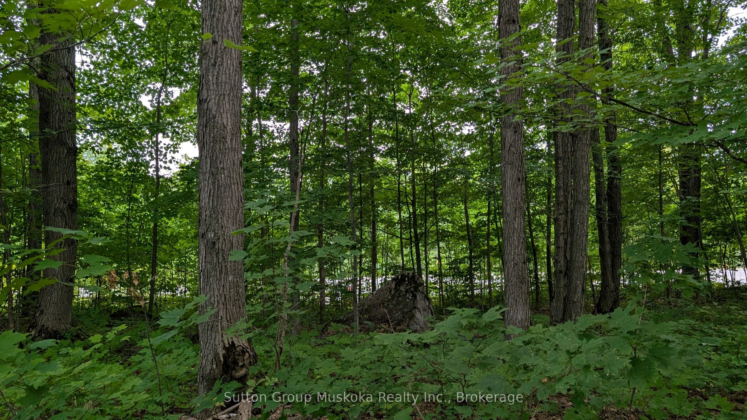837 Aspdin Road, Huntsville, On P1h 0h2