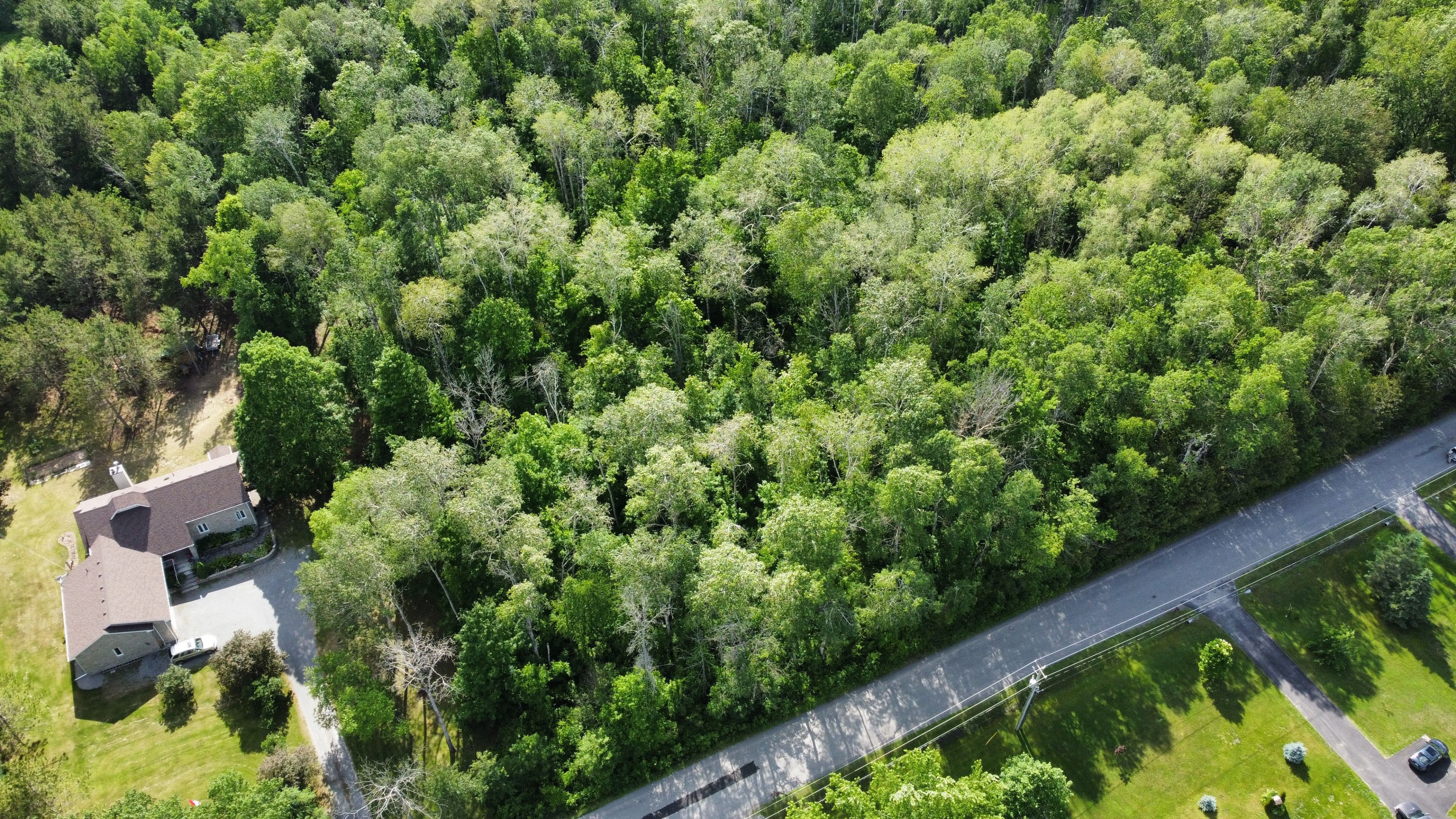 0 Teal (Rp 39r9098) Road, Quinte West, On K0k 3m0