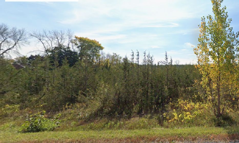 1034 Lazier Road, Tyendinaga, On K8n 4z6