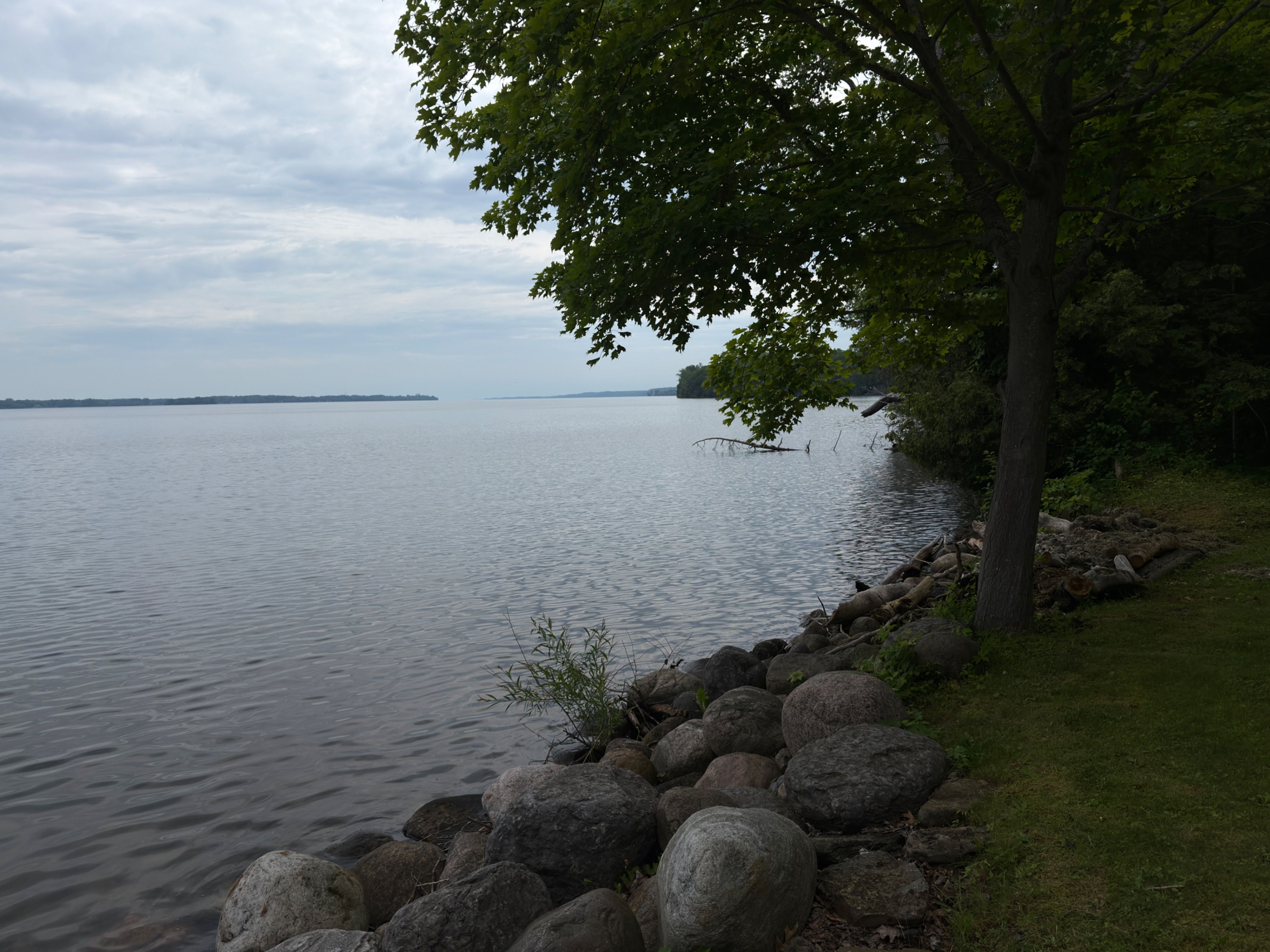 84 Mosquito Lane, Prince Edward County, On K0k 2t0