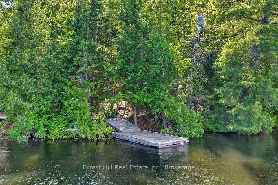 0 Alice Drive, Algonquin Highlands, On P0a 1e0