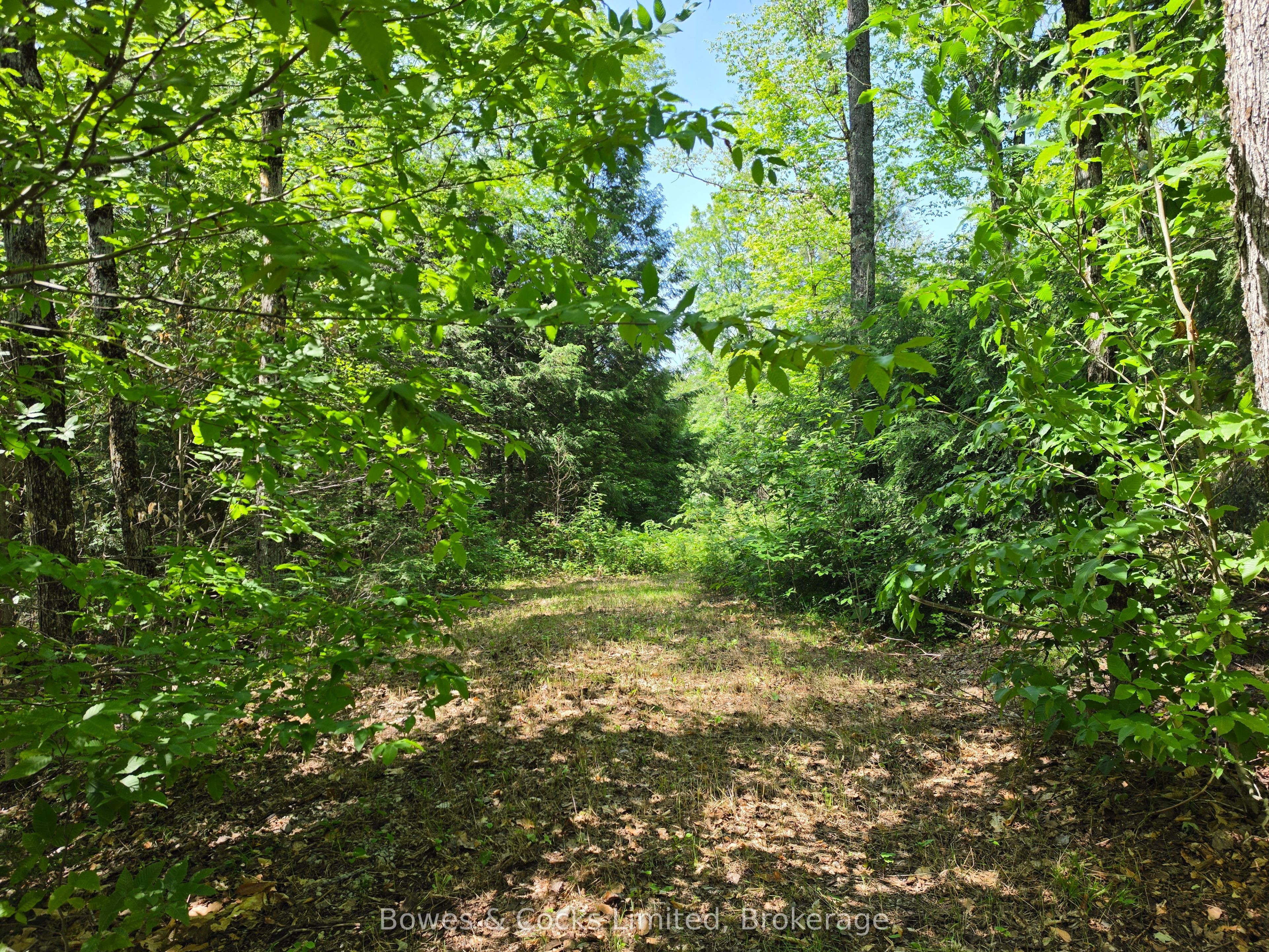 1160 Balmer Road, North Kawartha, On K0l 1a0