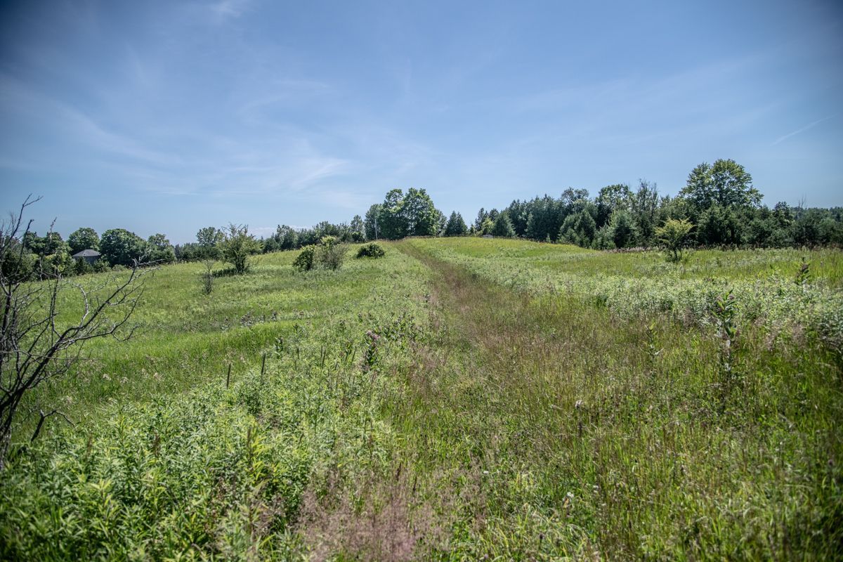 Pt 1 Boyce Road, Alnwick/Haldimand, On K0k 1s0
