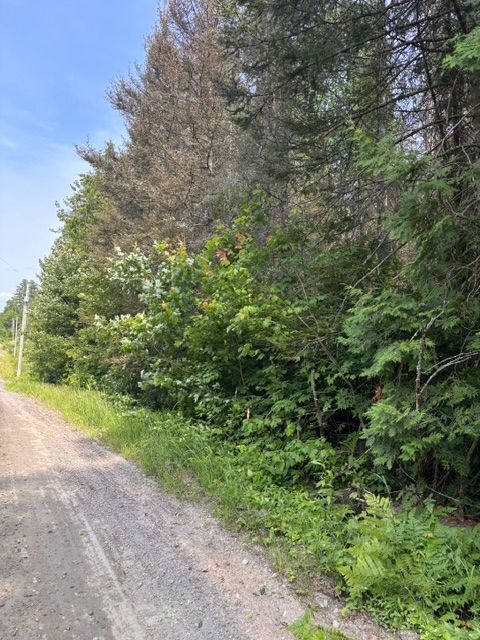1a Pt Lt 12 Con 2 Boundary Road, Parry Sound Remote Area, On P0a 1x0