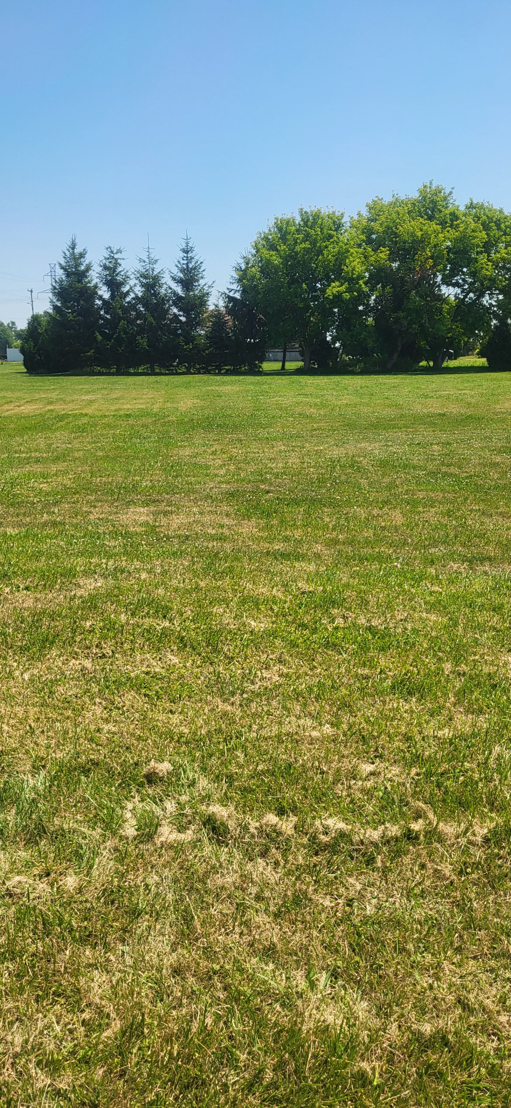 3172 Queen Street, Brooke-Alvinston, On N0n 1k0