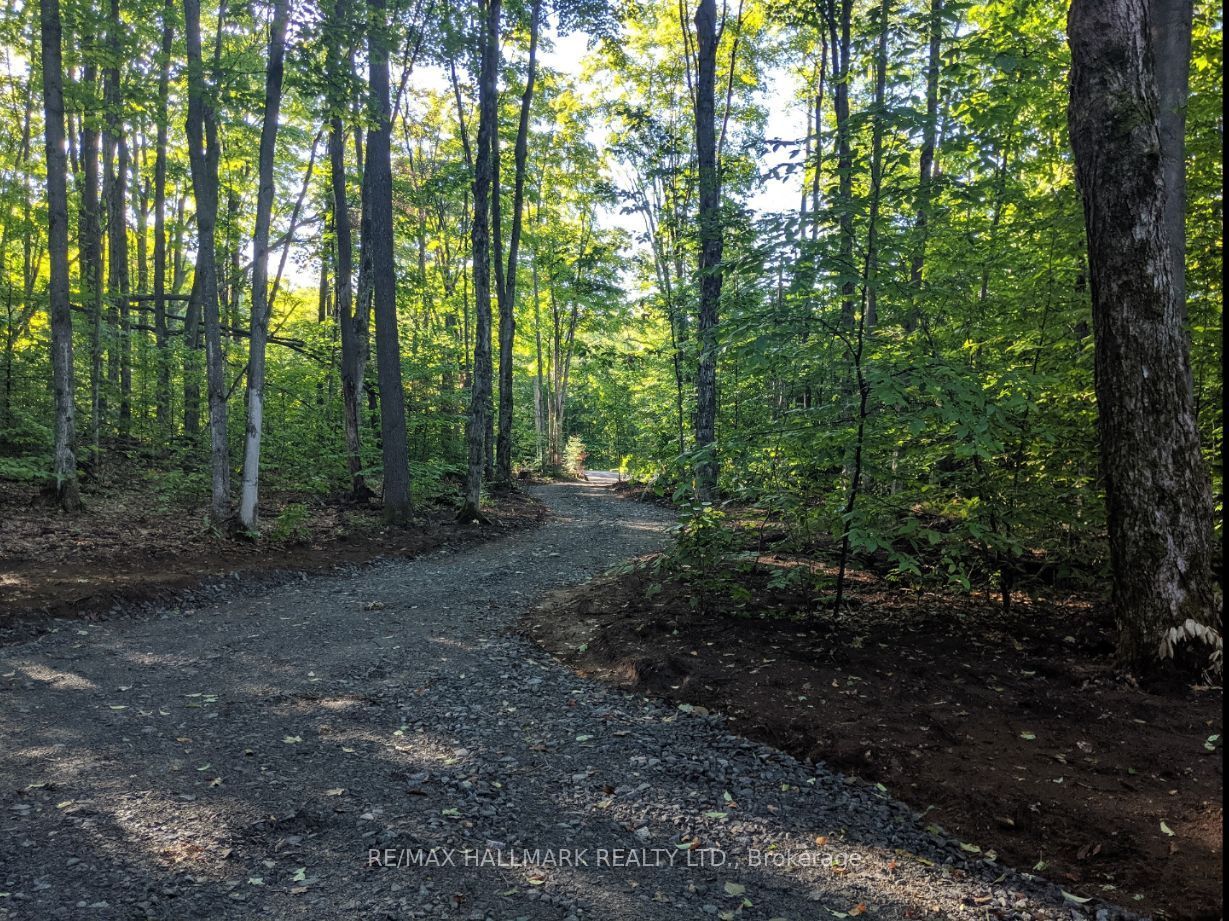458 White House Road, Huntsville, On P1h 2j3