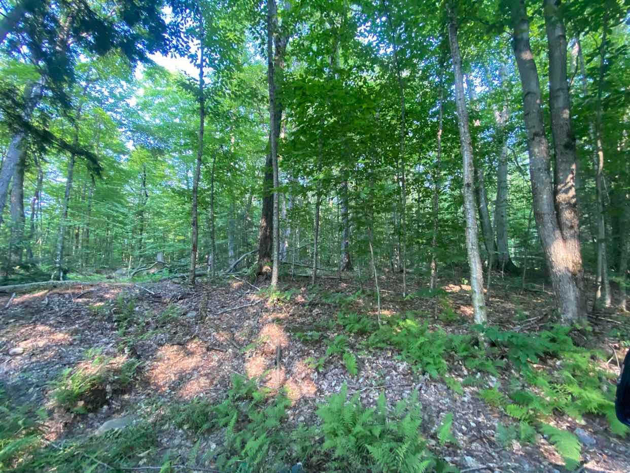 1310 Camel Lake Road Lot # 7, Muskoka Lakes, On P1l 1x4
