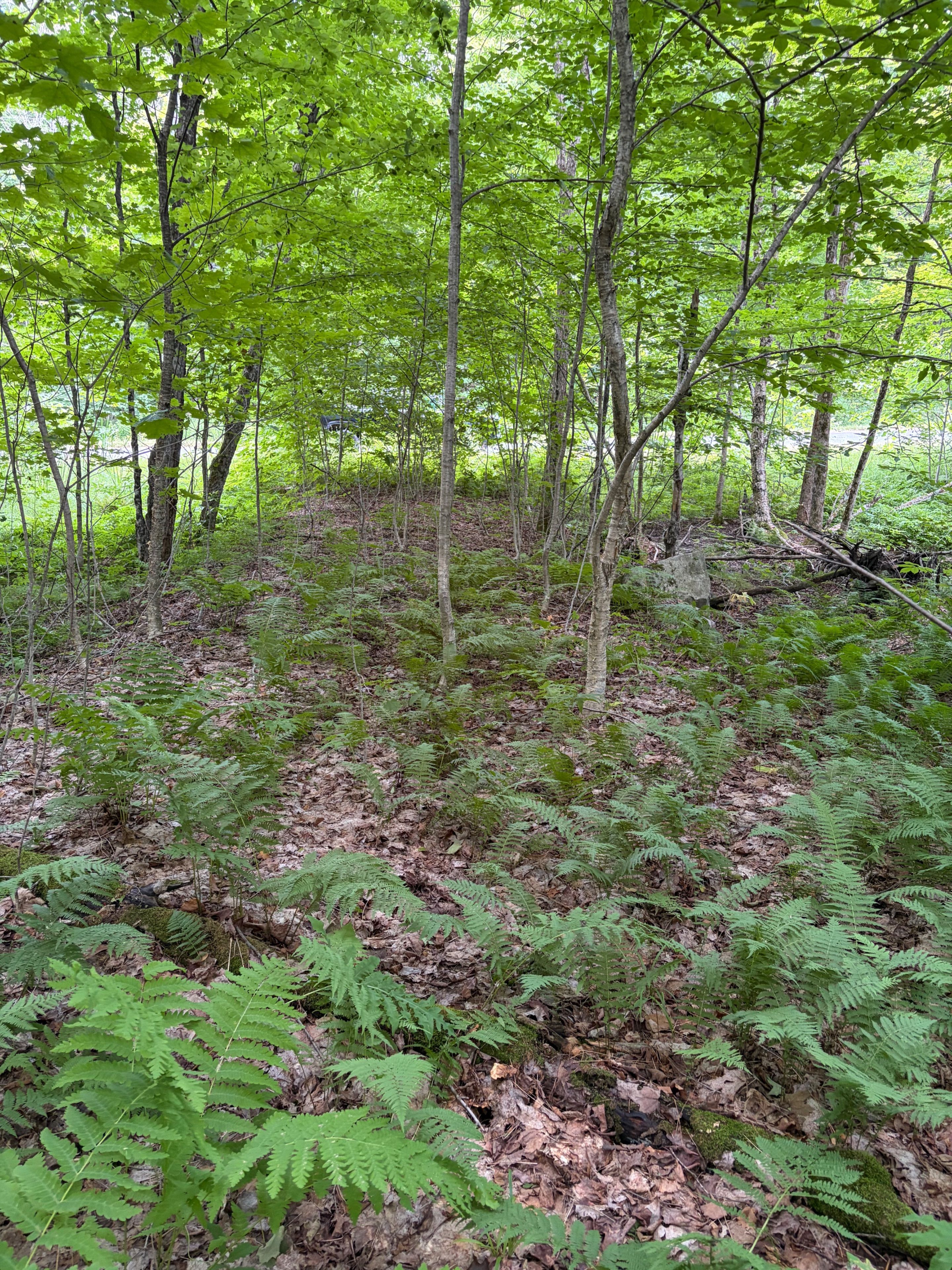 Part Lot 11 & 12 Chikopi Road, Magnetawan, On P0a 1p0