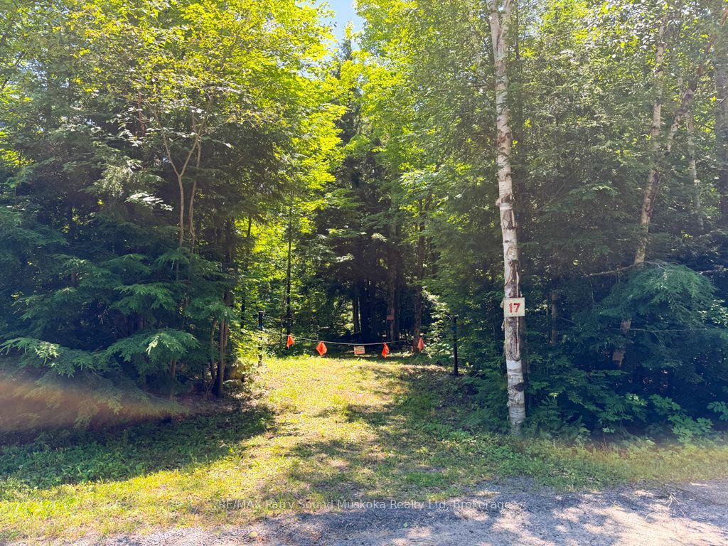 17 White Beaver Trail, Mcdougall, On P2a 2w7