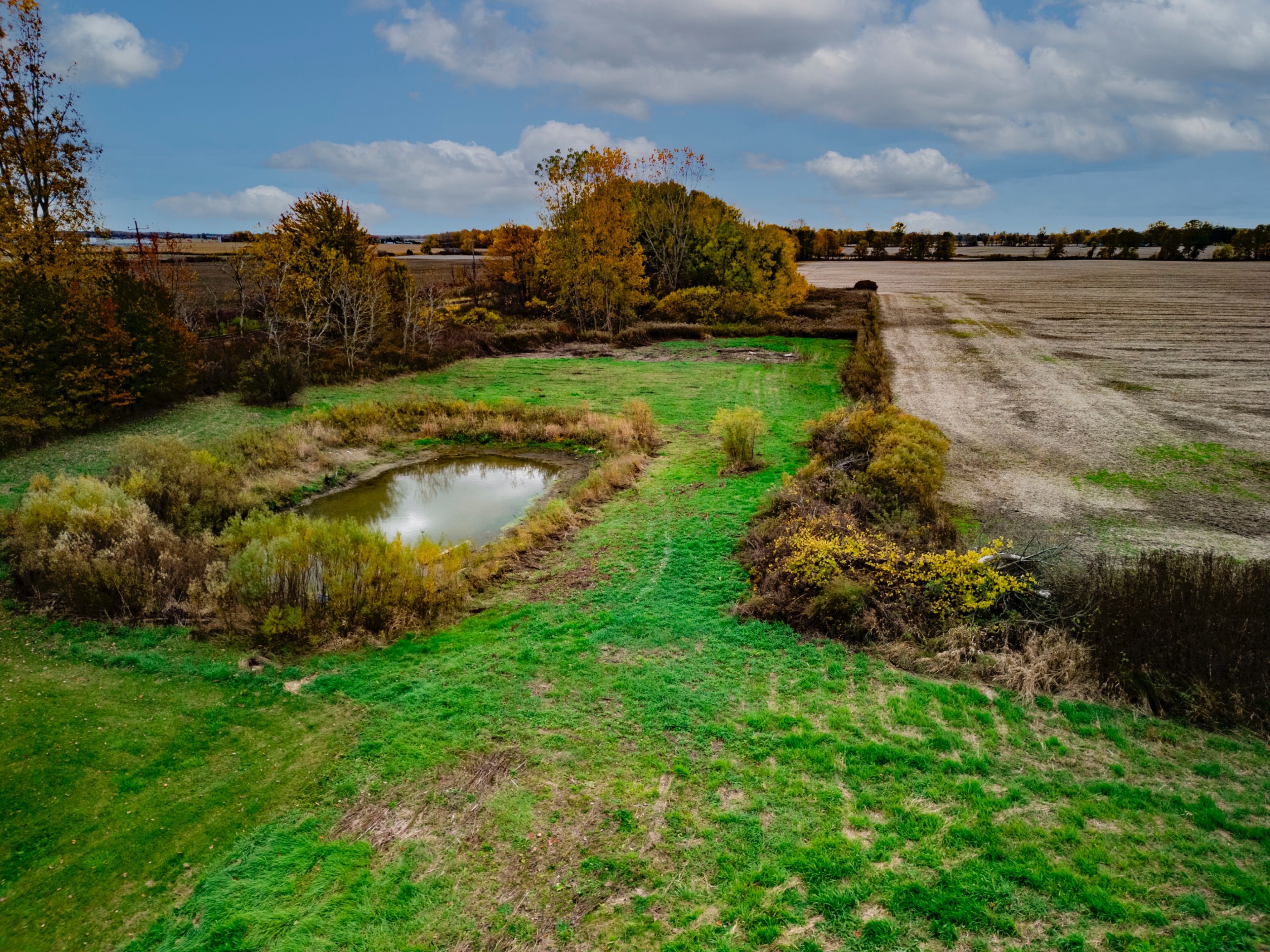 22681 Thames Road, Southwest Middlesex, On N0l 1t0