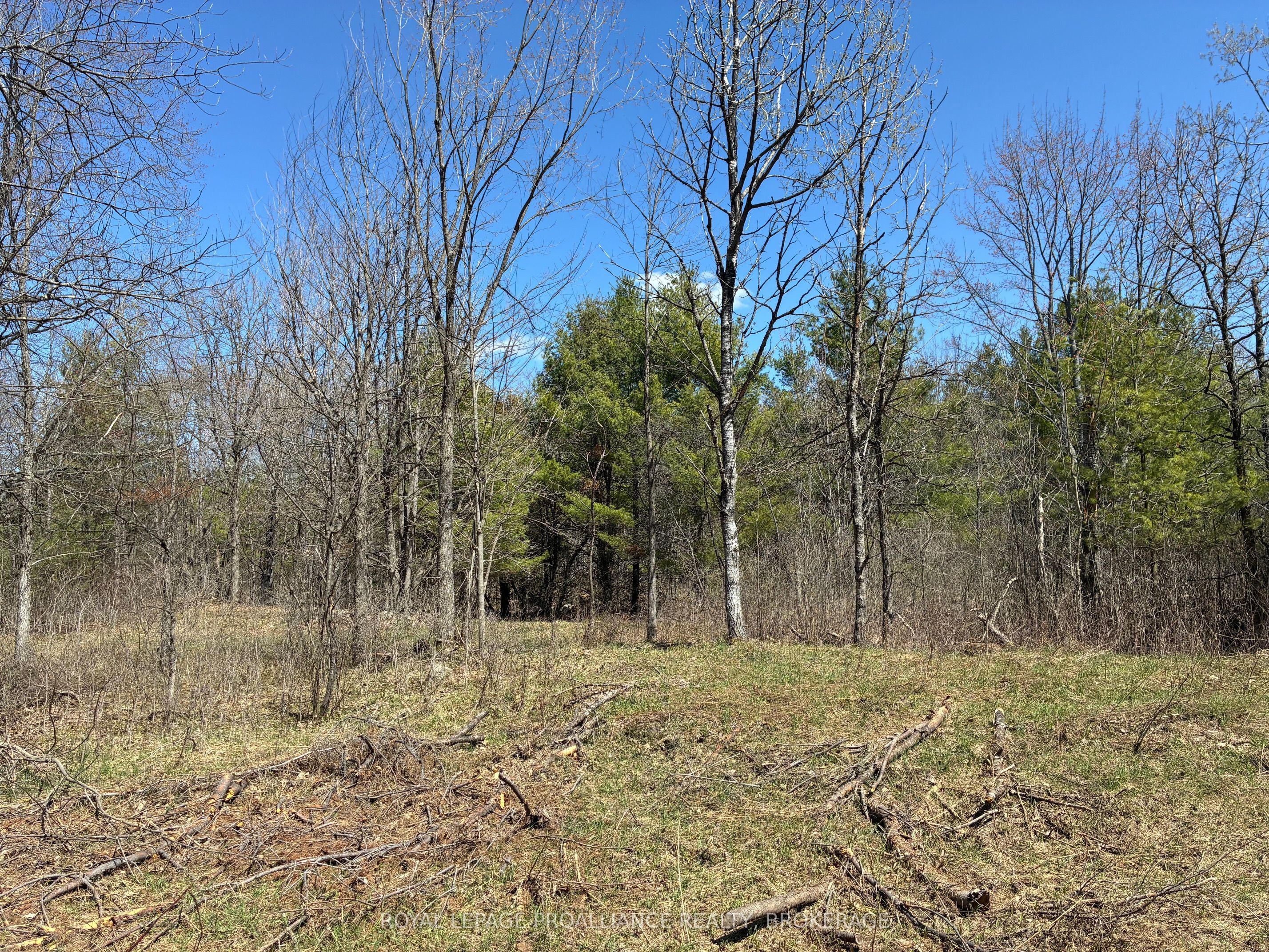 Lot 4 Leveque Road, South Frontenac, On K0h 2w0