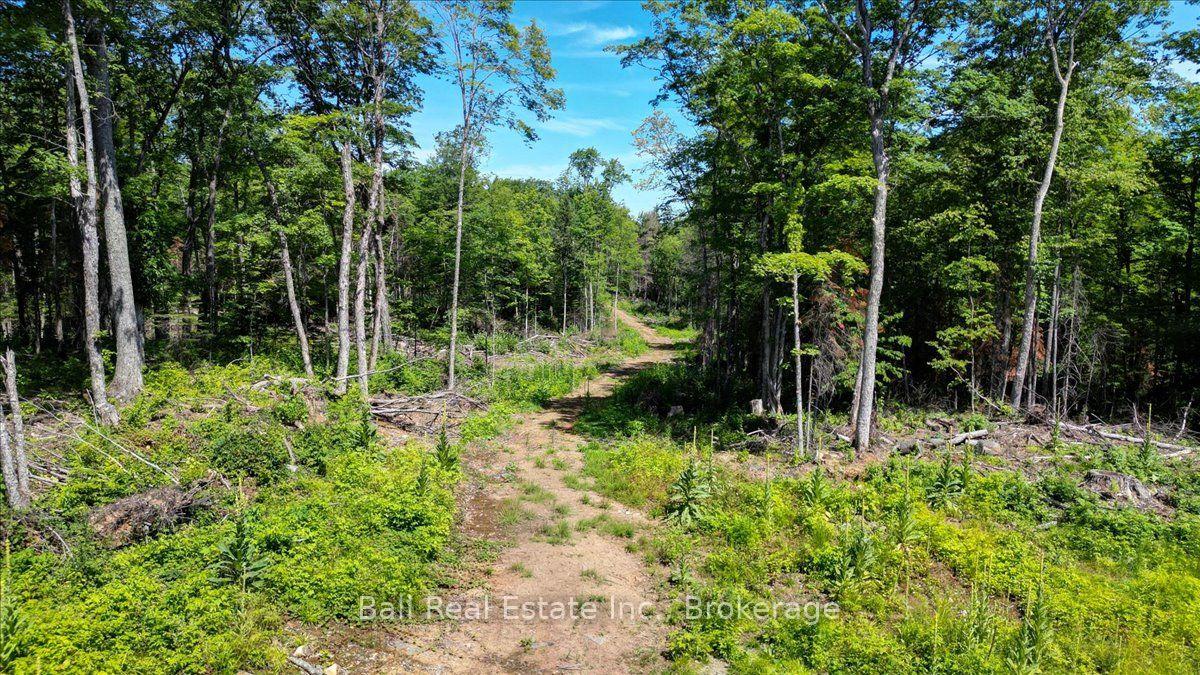691 Bush Road, North Kawartha, On K0l 1a0
