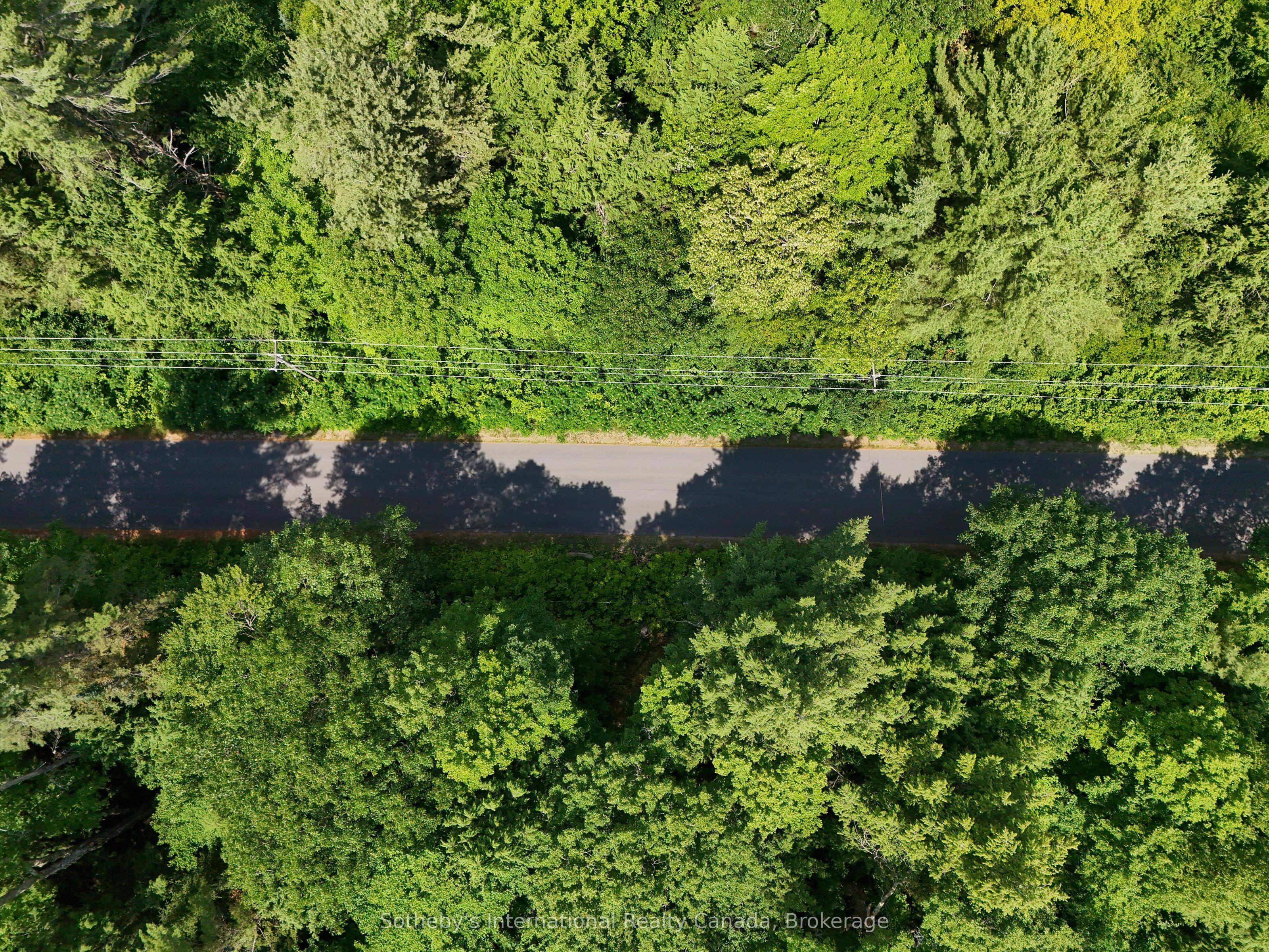 1098 Old Hwy 117, Lake Of Bays, On P0b 1a0