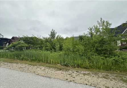 164 Delphi Lane, Blue Mountains, On N0h 1j0