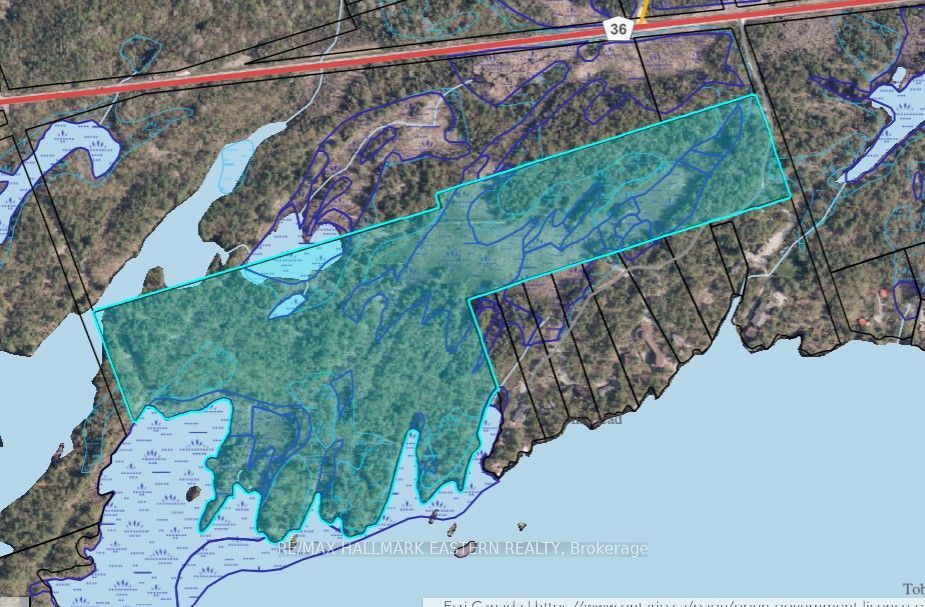 12 Fire Route 21, Trent Lakes, On K0l 1j0