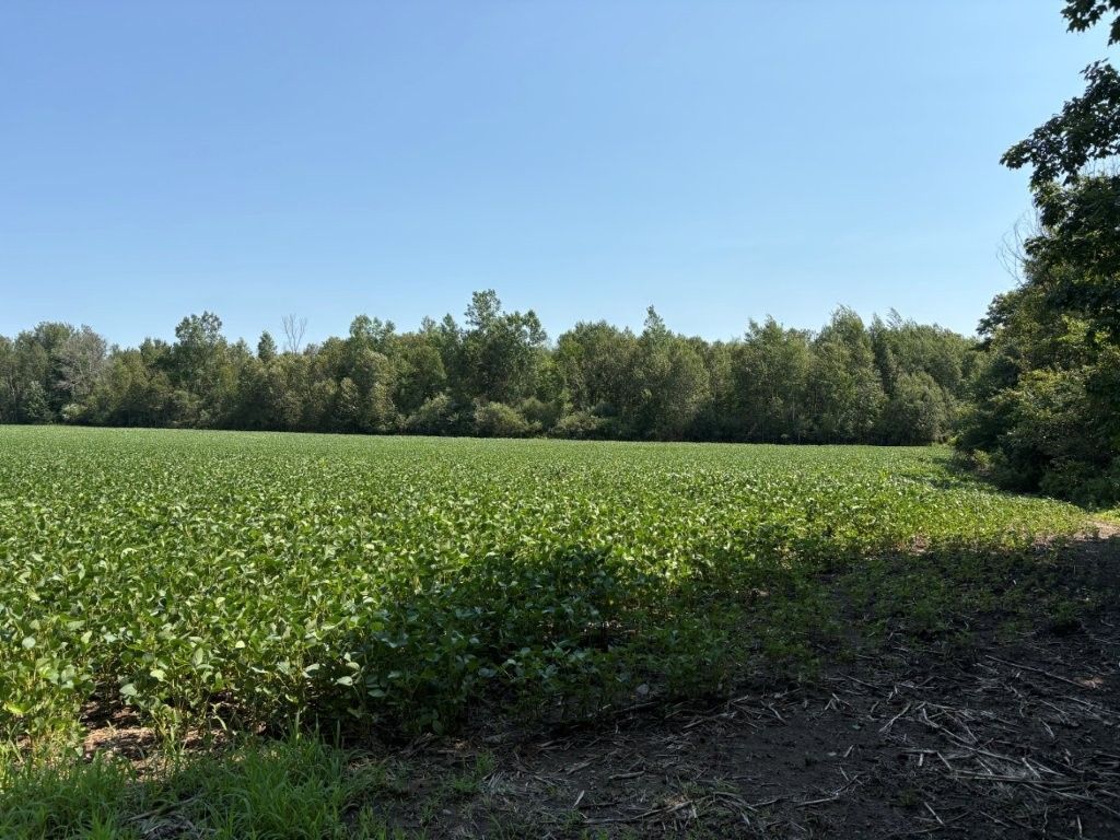 1194 Concession 14 W Concession, South Bruce, On N0g 2s0