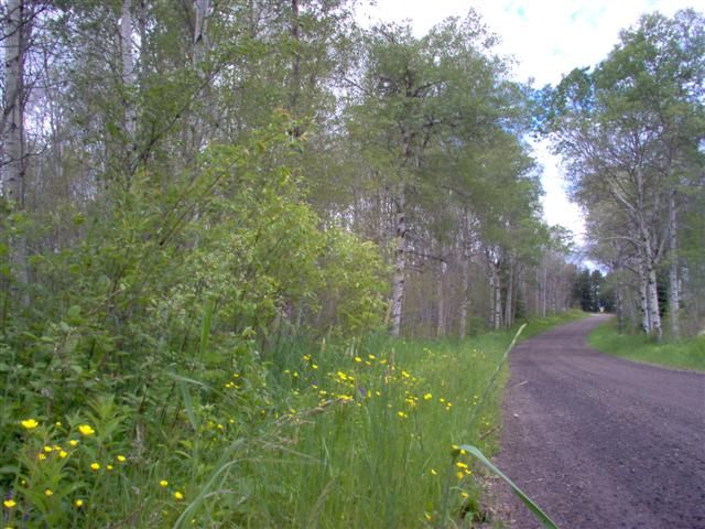 425 Spanish River Road 825, Out Of Area, On P0m 1j0
