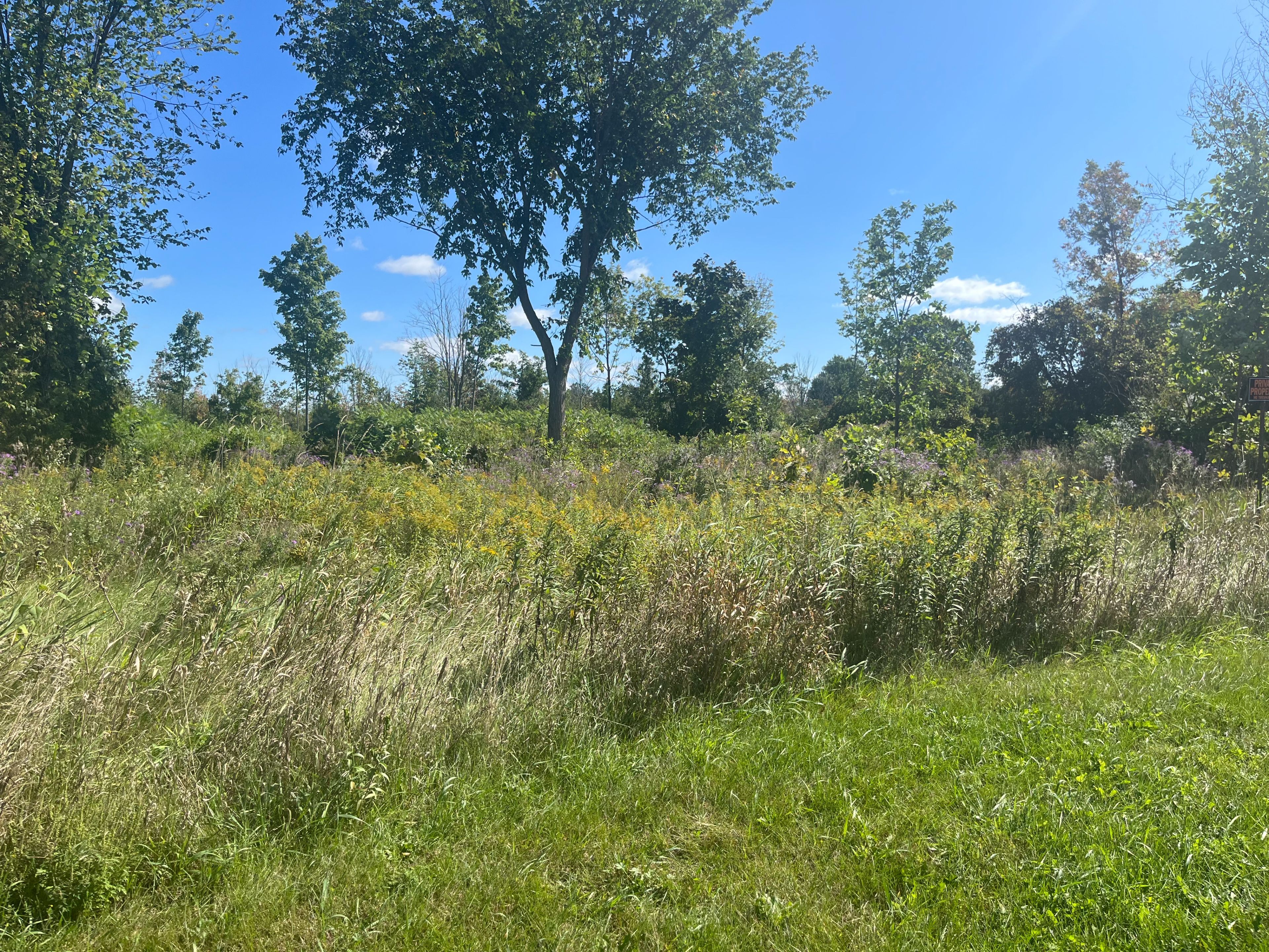 8645 Bank Street, Greely - Metcalfe - Osgoode - Vernon And Area, On K0a 3j0