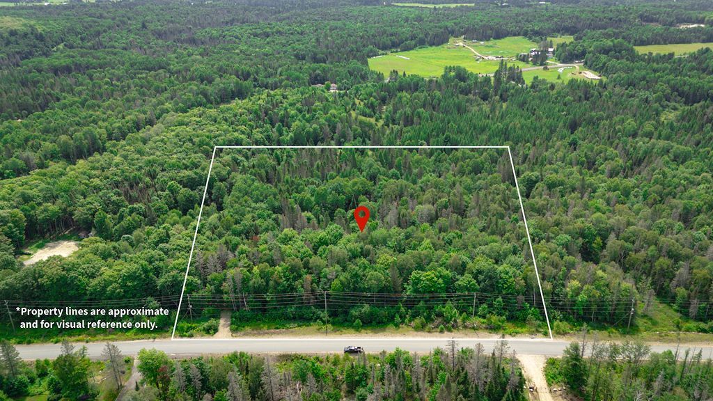 167 North Pickerel Lake Road, Armour, On P0a 1c0