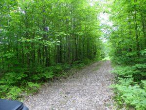 50 Acres In Muskoka North Of Bala - Pcl 31045, Muskoka Lakes, On P0c 1a0
