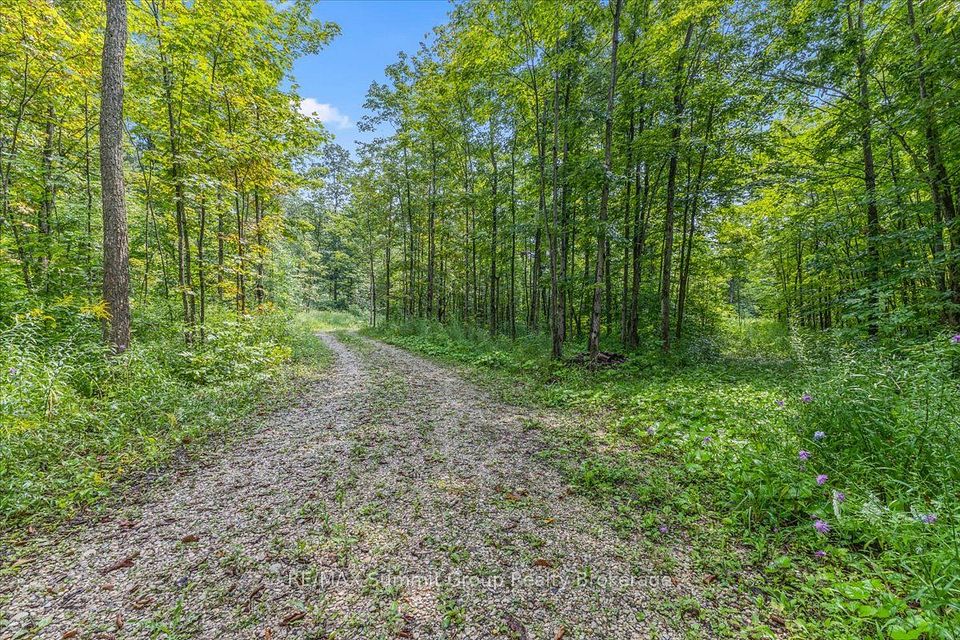Pt Lt 4 Concession Road 8, West Grey, On N0c 1h0