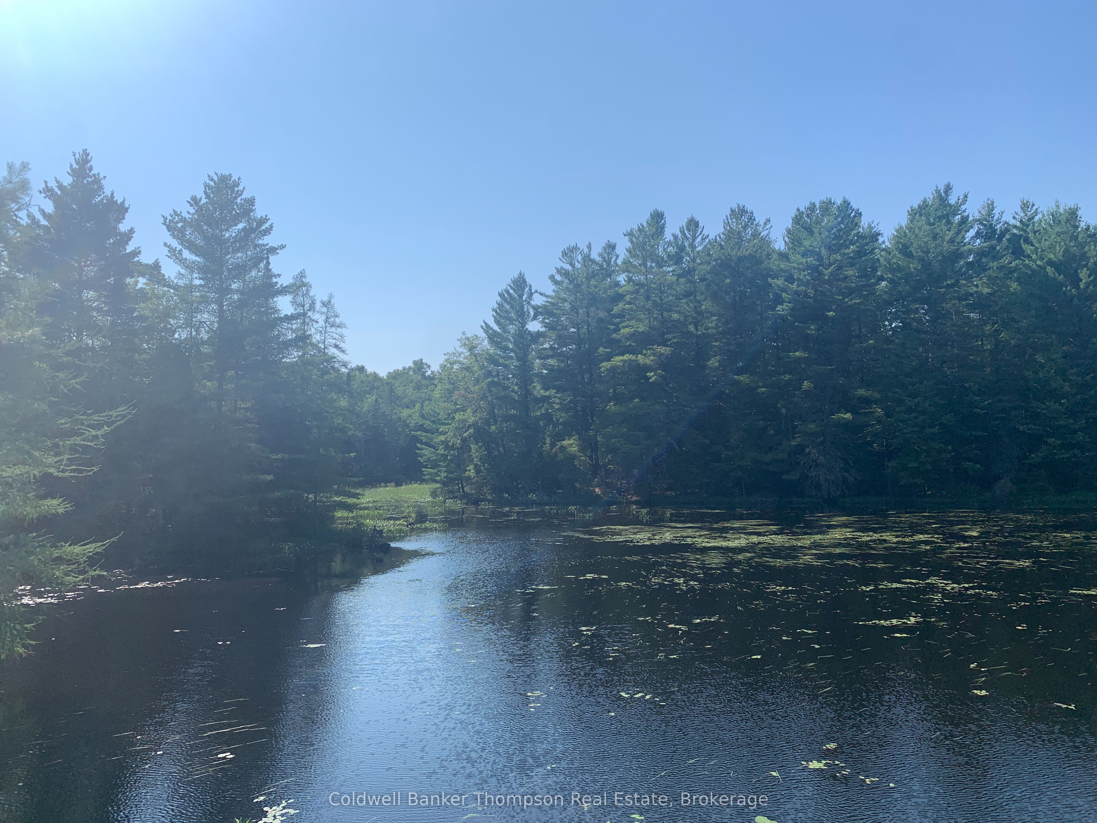 Lt17&18 Con8 & Lt18 Con 9 Carlsmount Road, Bracebridge, On P1l 1x1