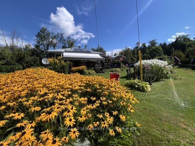 2 Alexander Avenue, Kawartha Lakes, On K0m 1l0