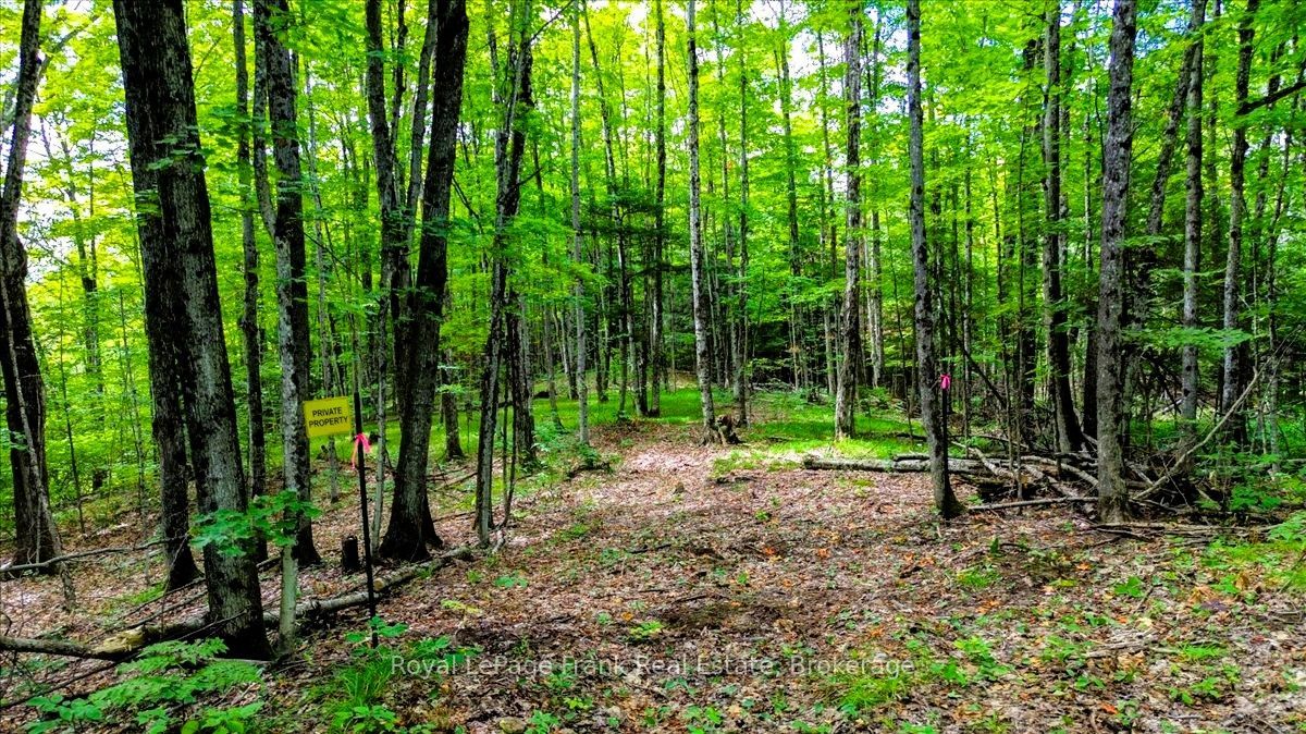 0 North Rusaw Road, North Kawartha, On K0l 1a0