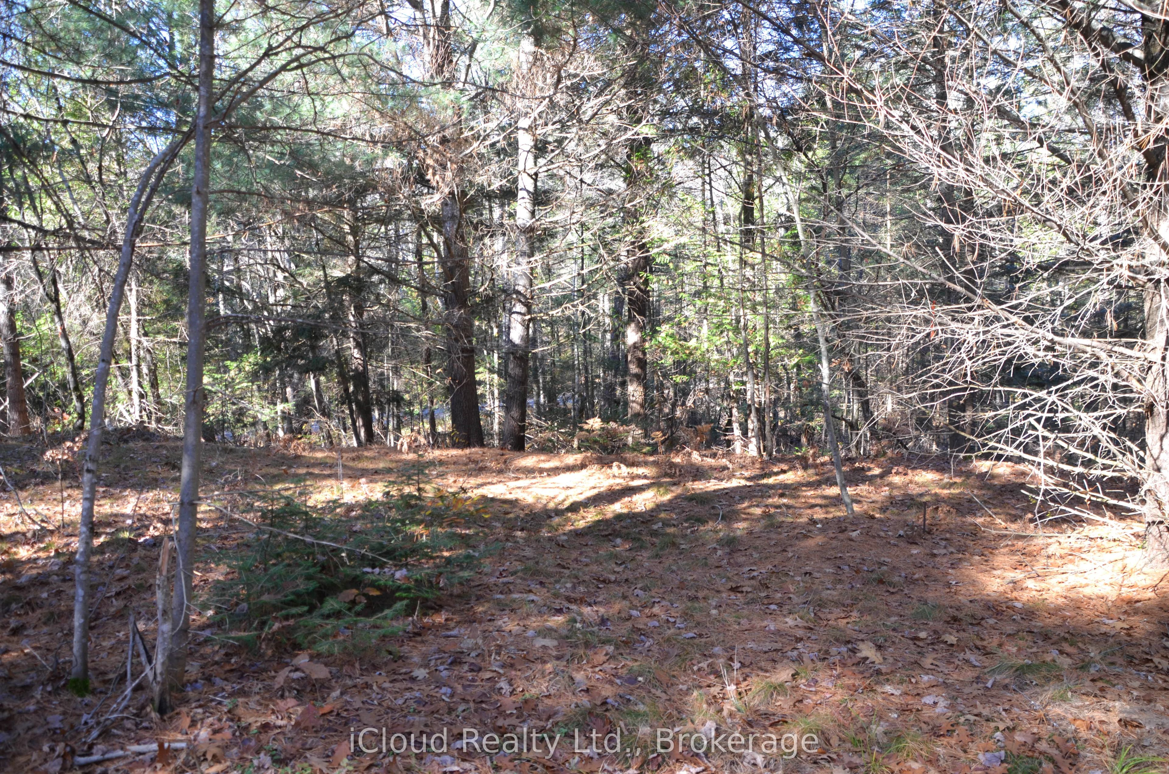 3 Parker Bay Road, Whitestone, On P0a 1g0
