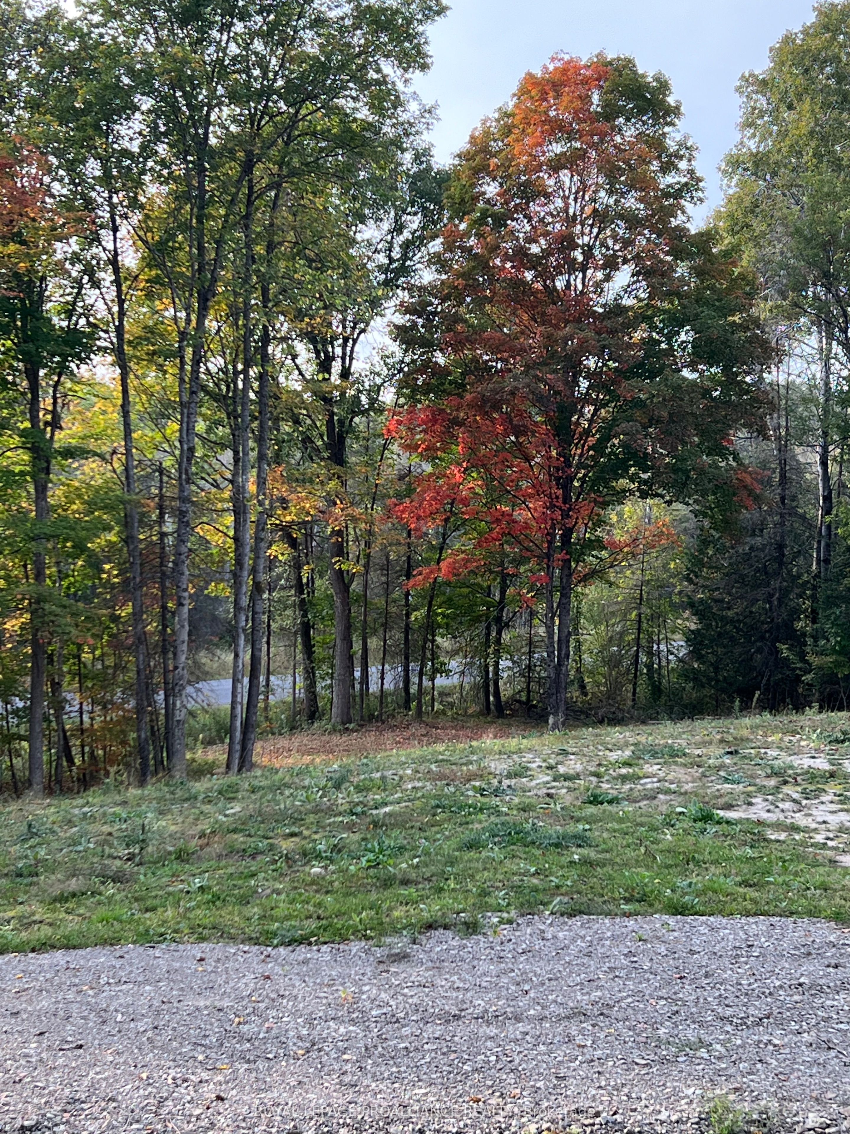 1054 Centre Line Road, Marmora And Lake, On K0k 2m0