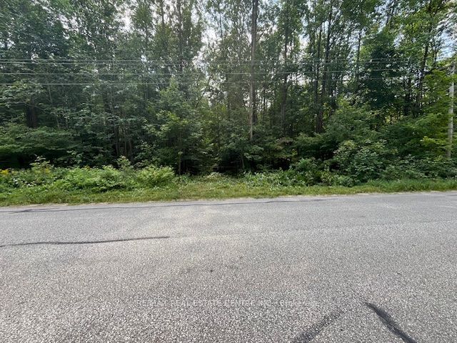 Pt Lt44 Chatsworth 24 Road, Chatsworth, On N0h 1r0