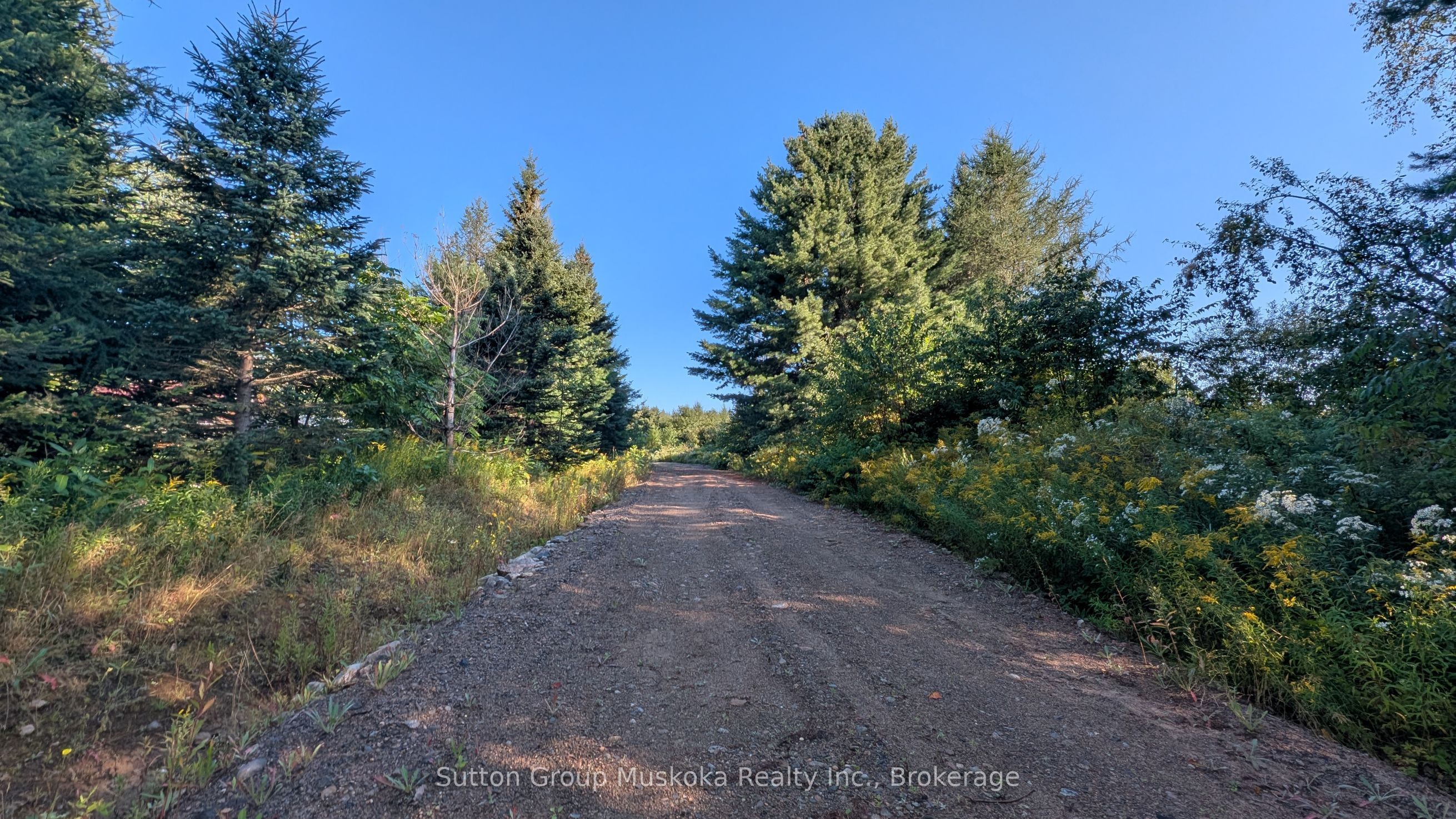 00 Savage Settlement Road, Perry, On P0a 1r0