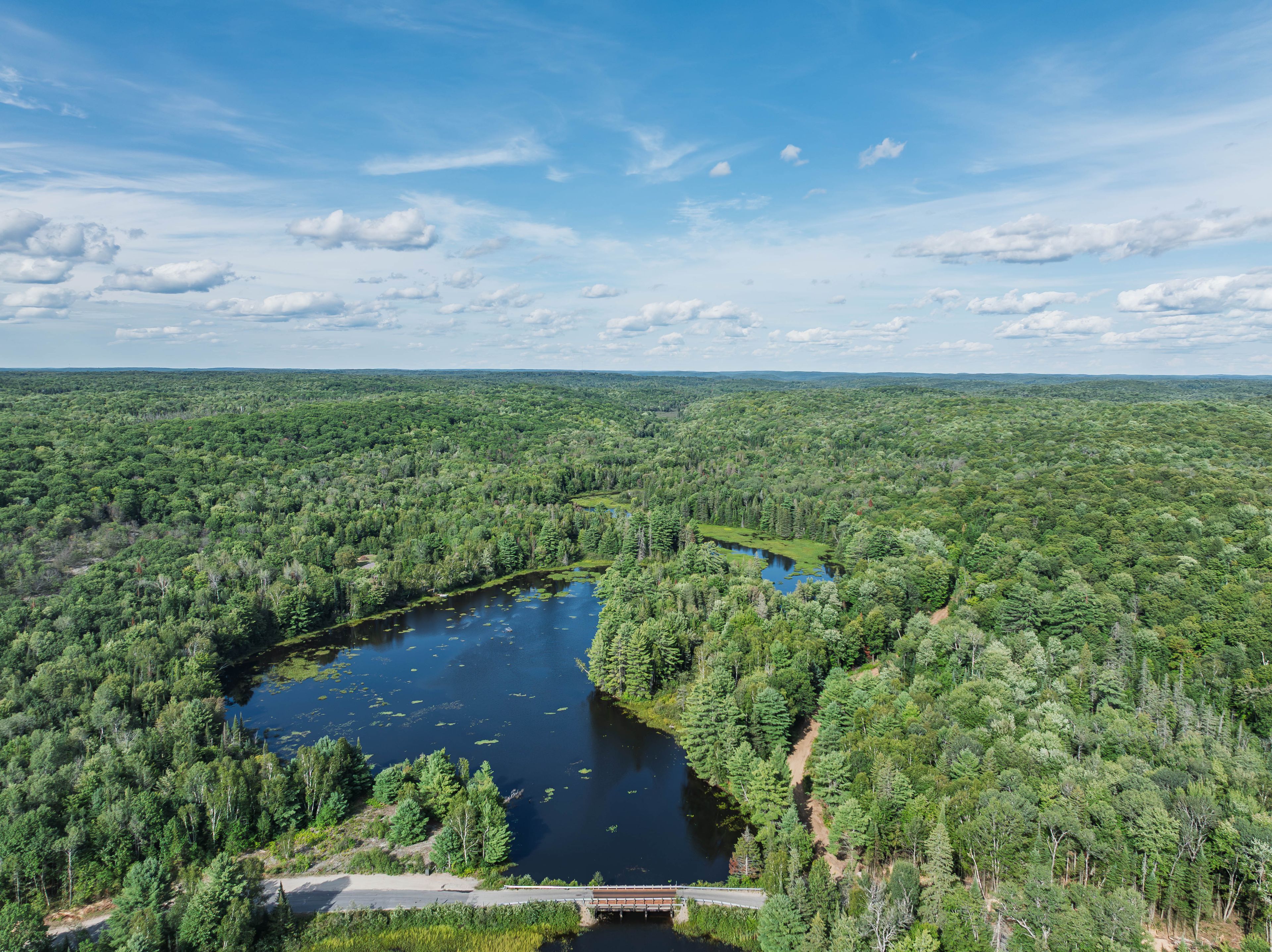 1241 Koshlong Lake Road, Dysart Et Al, On K0m 1s0