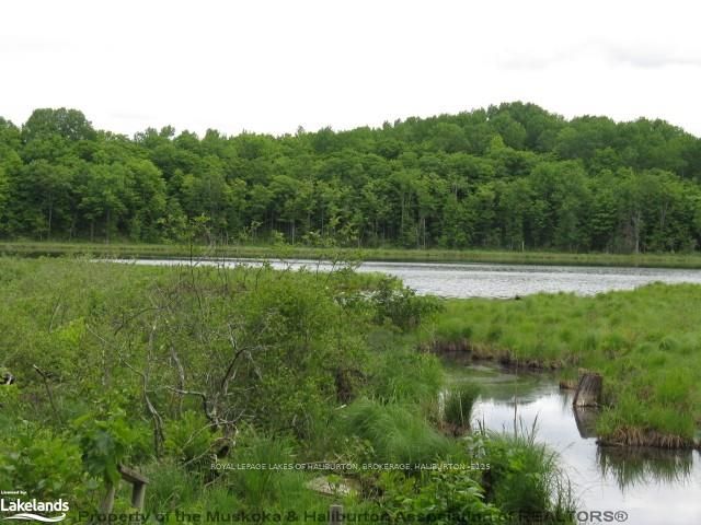 9842 Highway 35, Minden Hills, On K0m 2l1