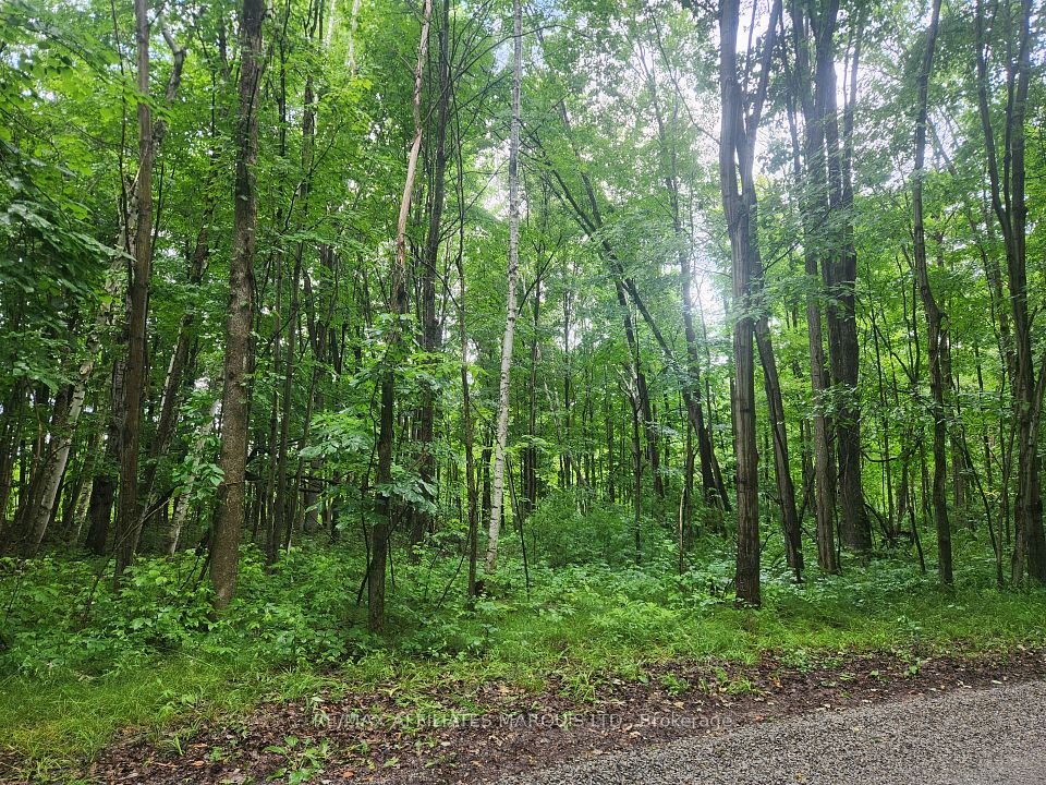 000 Cedar Sands Road Way, Rideau Lakes, On K0e 1n0