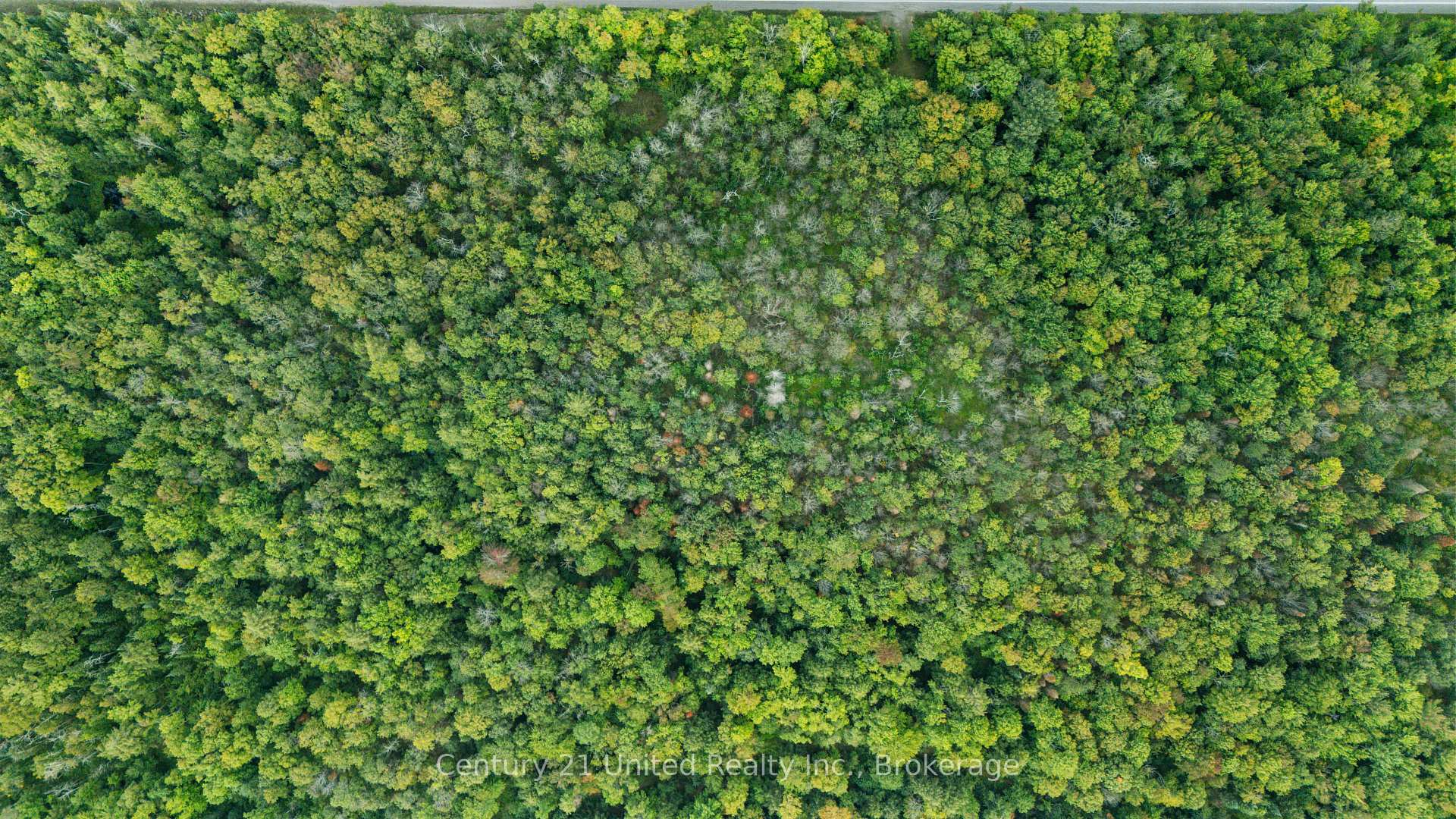 456 County Road 620, North Kawartha, On K0l 1a0