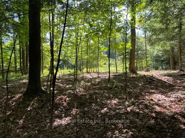 Pt Lt 15 Con 13 Alton Road, Minden Hills, On K0m 2k0