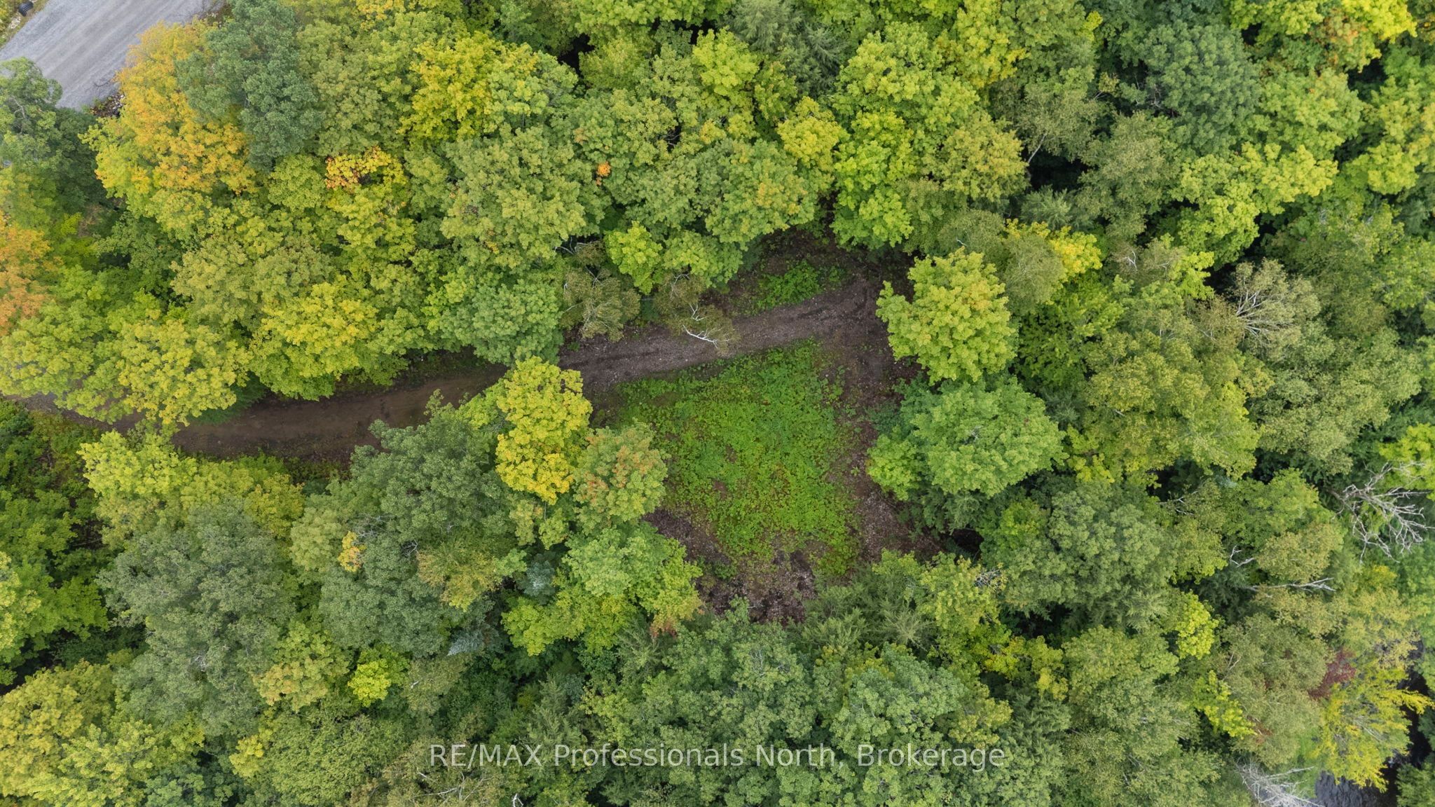 1211 Hawk Valley Road, Algonquin Highlands, On K0m 1j2