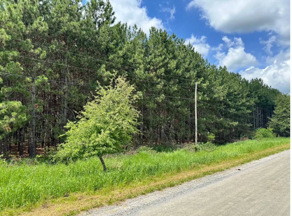 1161 Rosetta Road, Lanark Highlands, On K0g 1k0