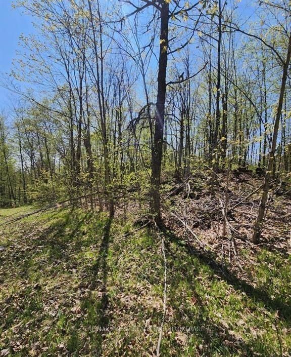 0 Burke Settlement Road, Frontenac, On K0h 2p0