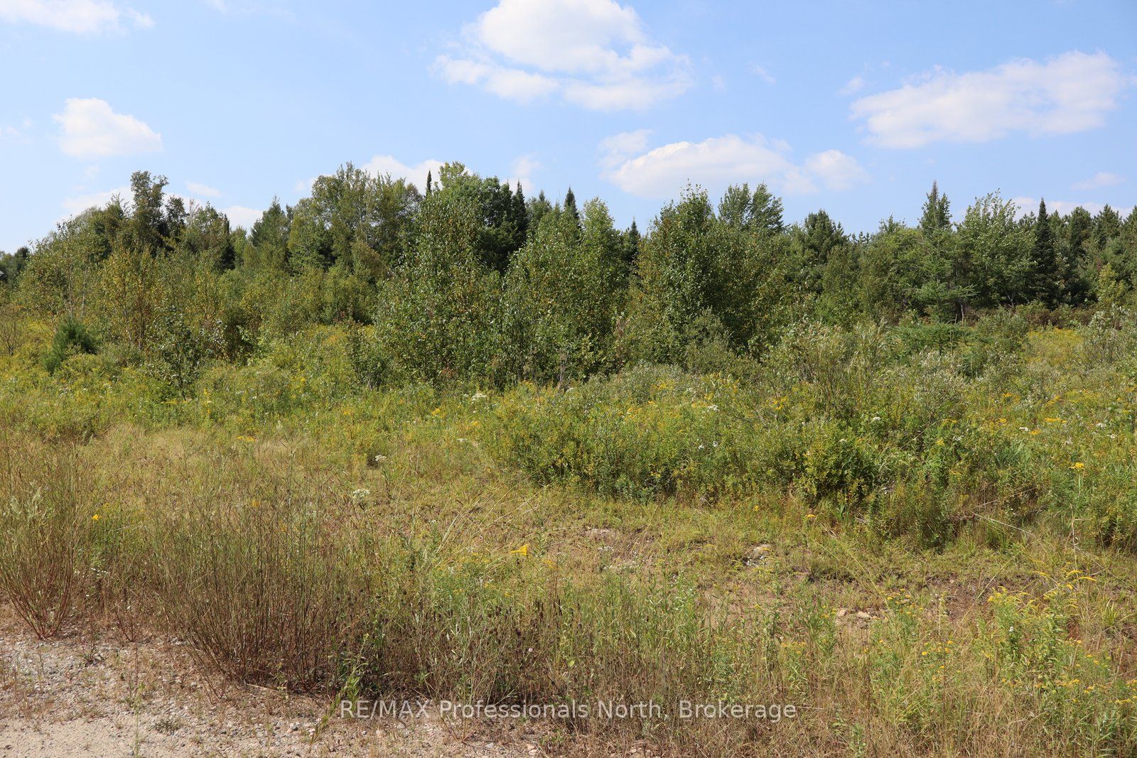 1010 Piper Glen Road, Minden Hills, On K0m 2k0